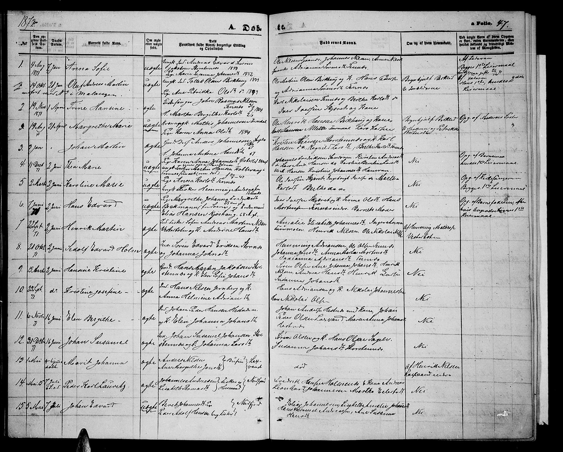Balsfjord sokneprestembete, AV/SATØ-S-1303/G/Gab/L0006klokker: Parish register (copy) no. 6, 1863-1878, p. 47