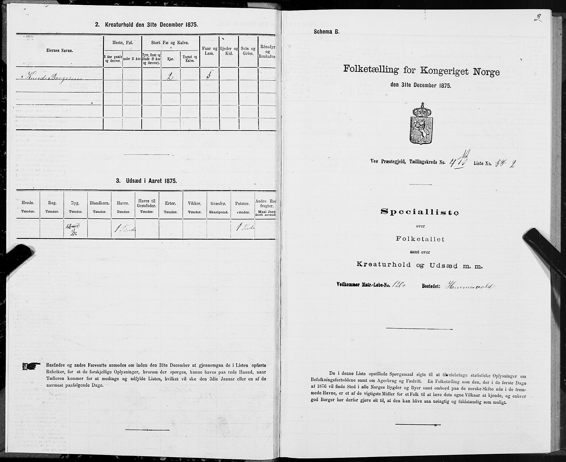 SAT, 1875 census for 1541P Veøy, 1875, p. 3003