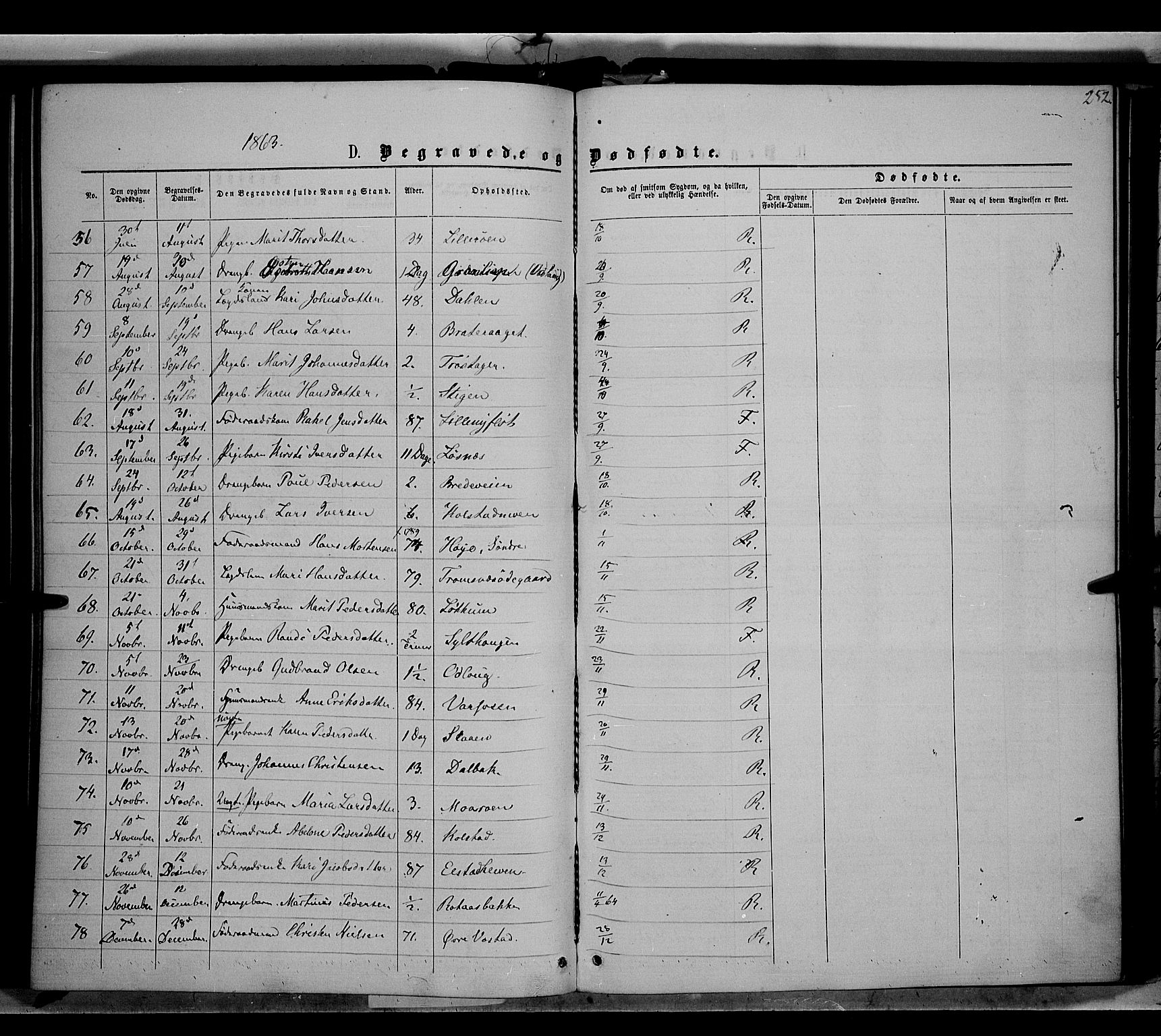 Ringebu prestekontor, SAH/PREST-082/H/Ha/Haa/L0007: Parish register (official) no. 7, 1860-1877, p. 252