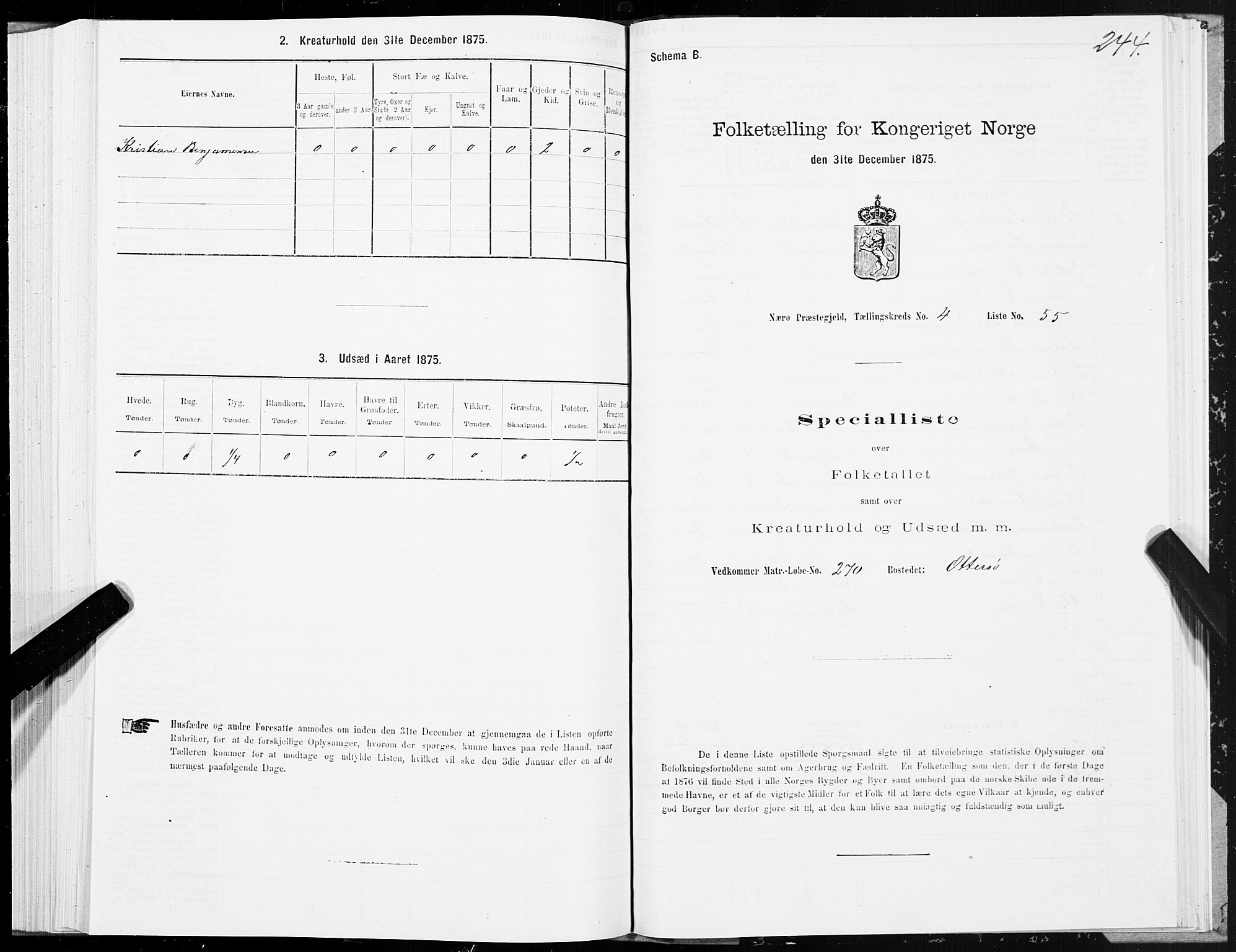 SAT, 1875 census for 1751P Nærøy, 1875, p. 2244