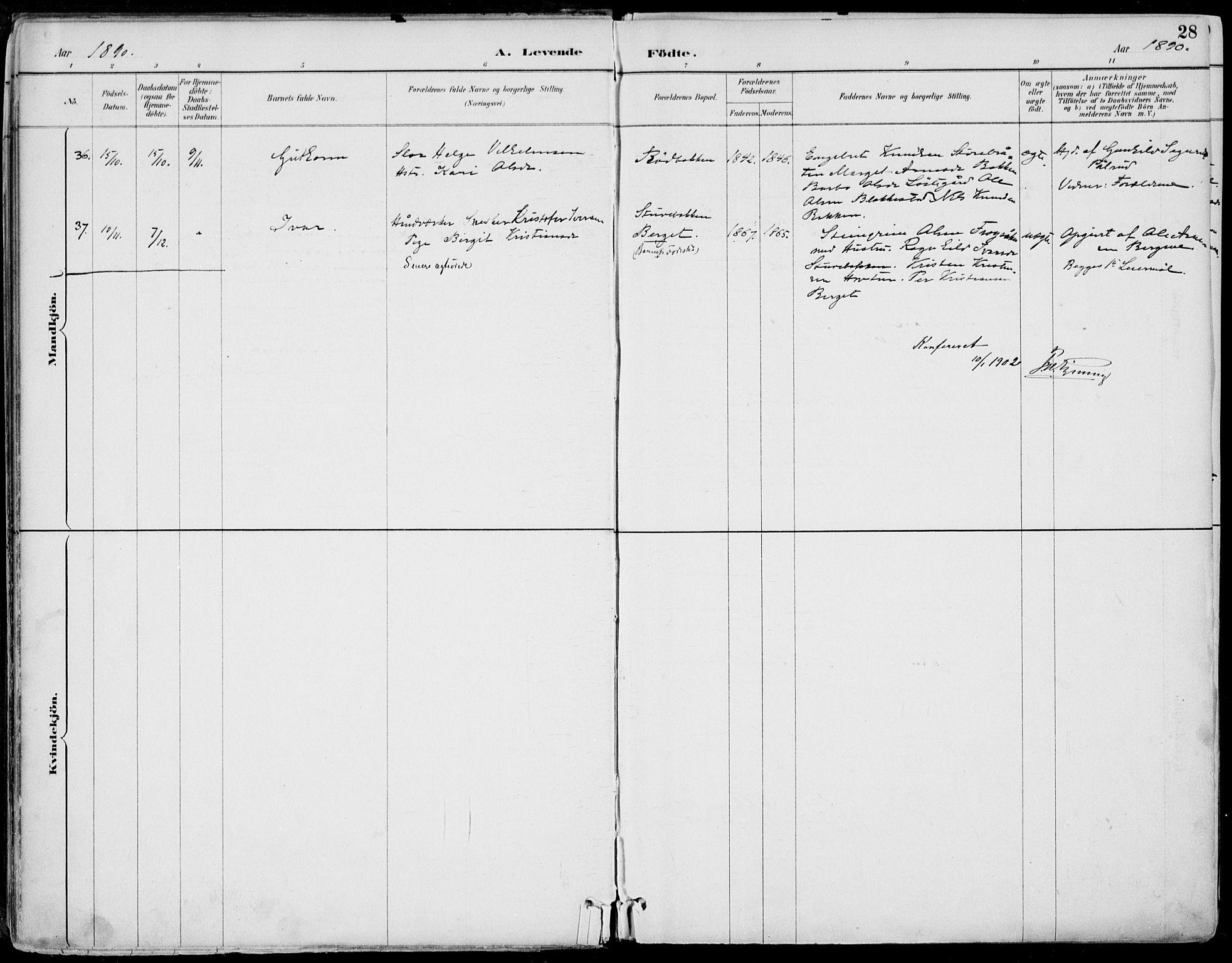 Gol kirkebøker, SAKO/A-226/F/Fa/L0005: Parish register (official) no. I 5, 1887-1900, p. 28