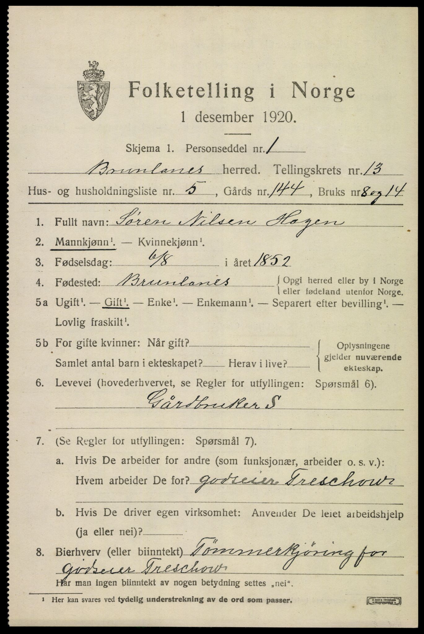 SAKO, 1920 census for Brunlanes, 1920, p. 10829