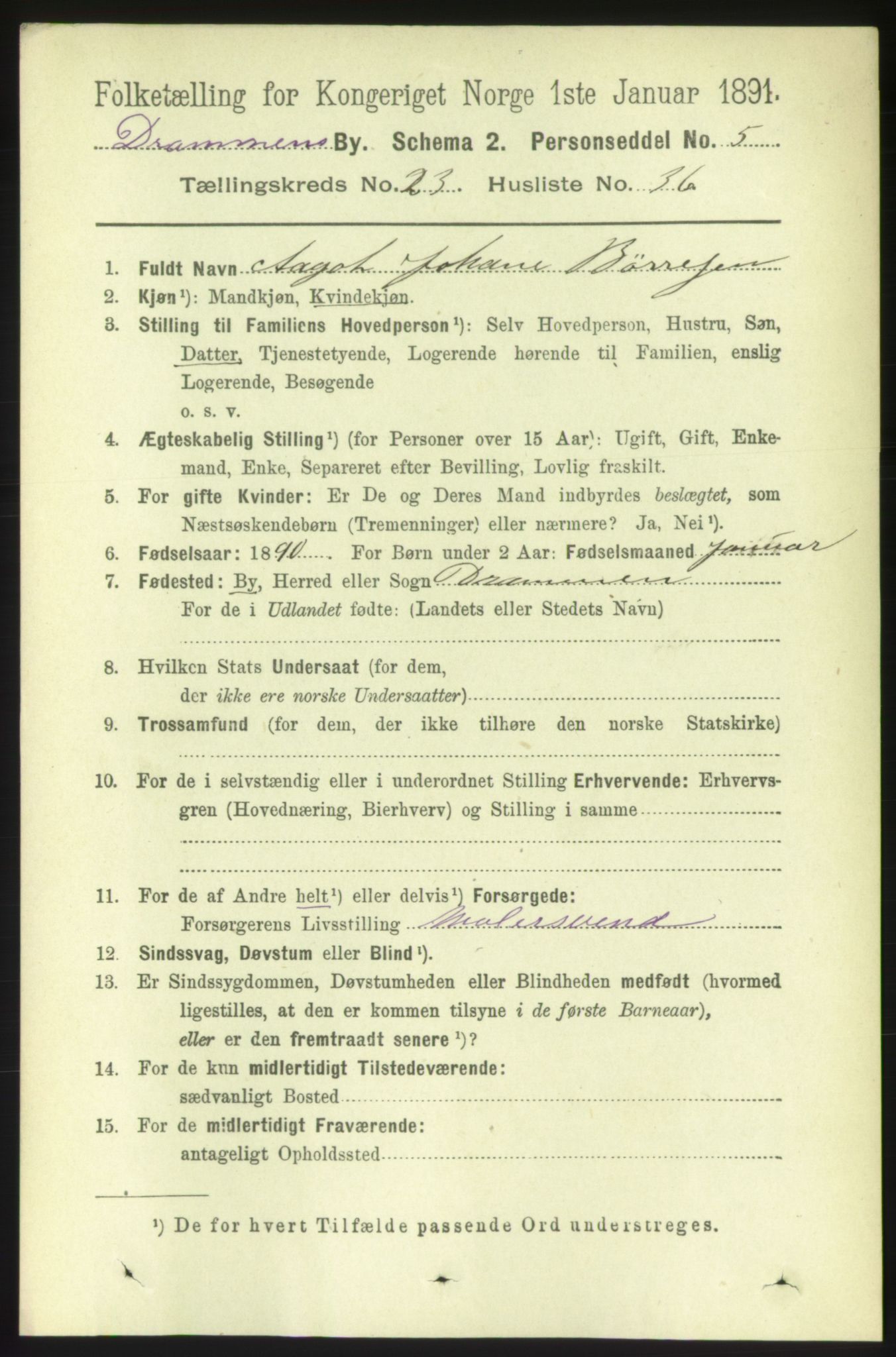 RA, 1891 census for 0602 Drammen, 1891, p. 14637