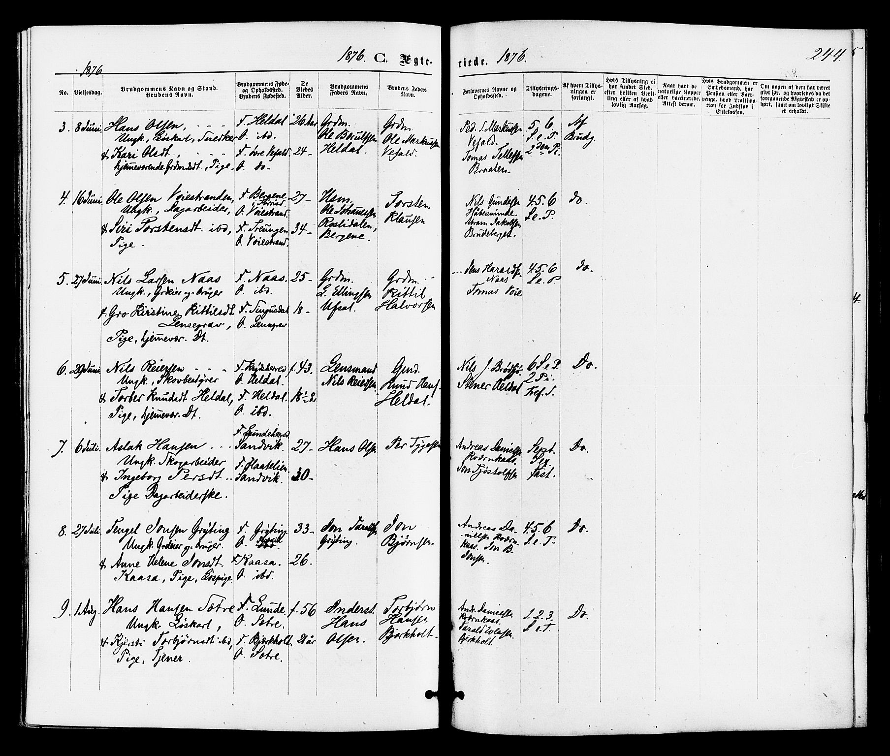 Drangedal kirkebøker, SAKO/A-258/F/Fa/L0009: Parish register (official) no. 9 /1, 1872-1884, p. 244