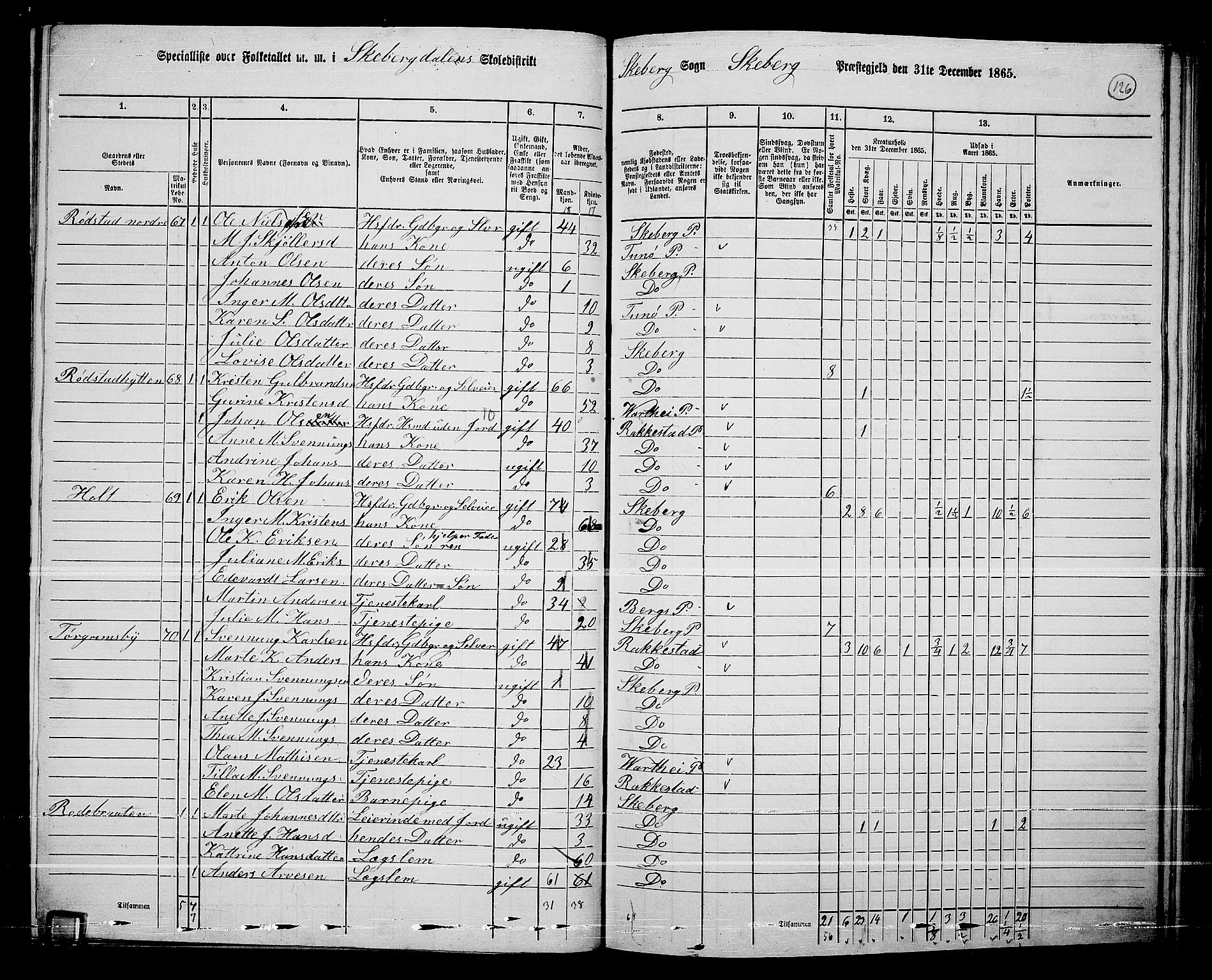 RA, 1865 census for Skjeberg, 1865, p. 117