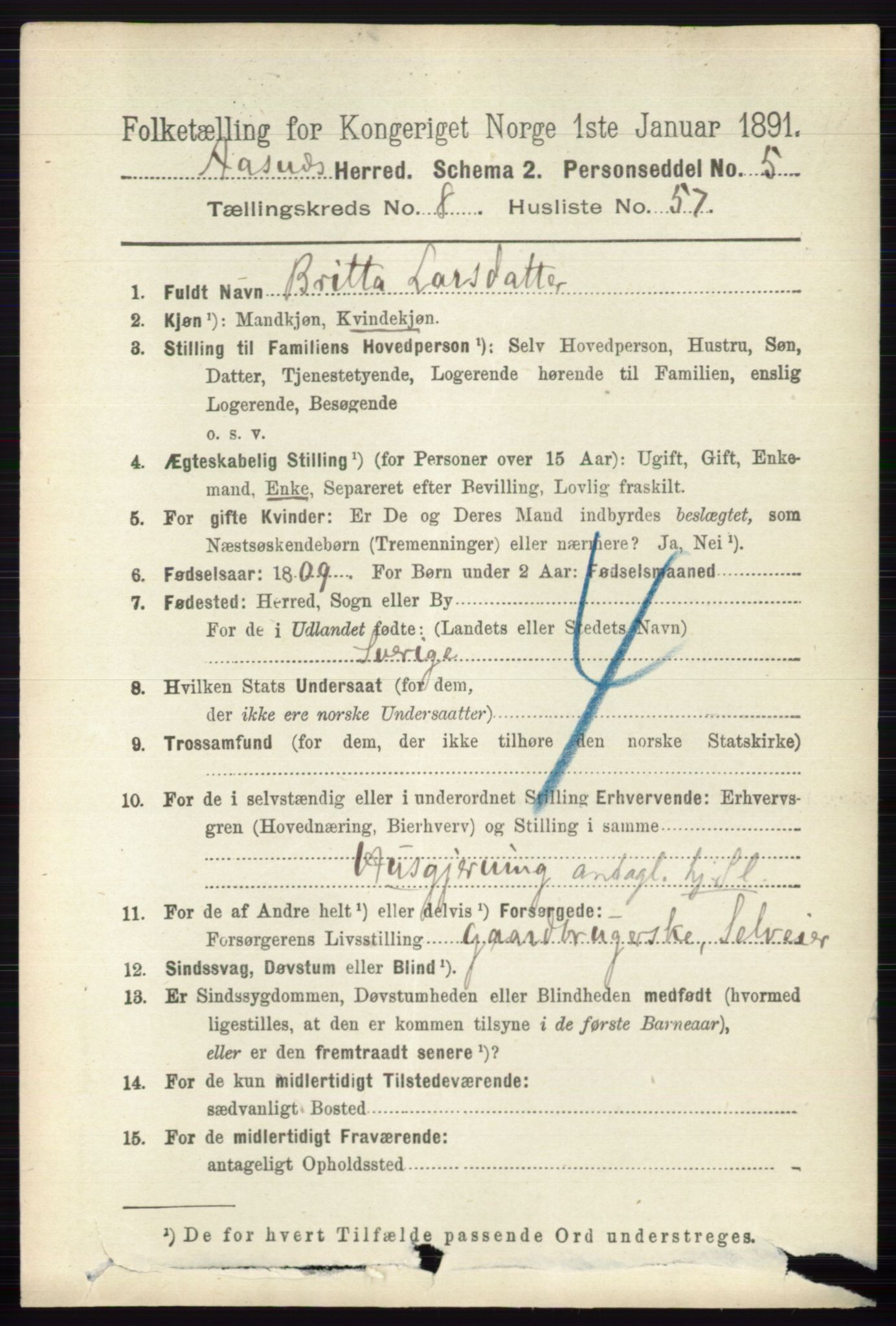 RA, 1891 census for 0425 Åsnes, 1891, p. 4544