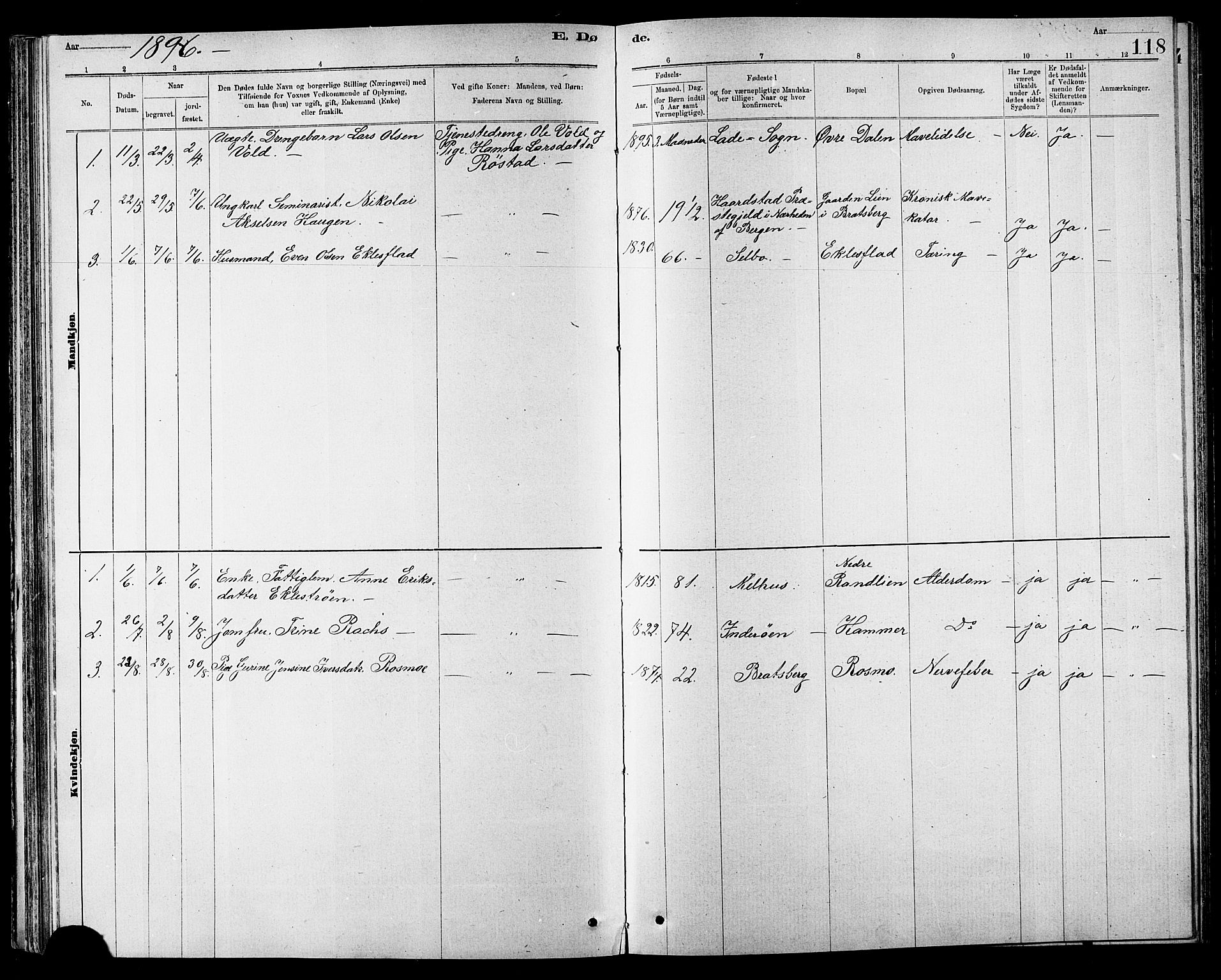 Ministerialprotokoller, klokkerbøker og fødselsregistre - Sør-Trøndelag, SAT/A-1456/608/L0341: Parish register (copy) no. 608C07, 1890-1912, p. 118