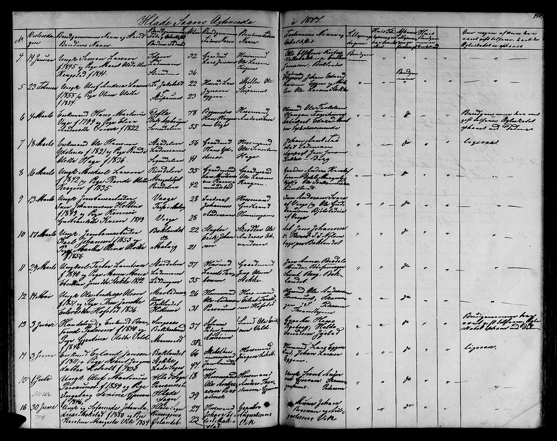 Ministerialprotokoller, klokkerbøker og fødselsregistre - Sør-Trøndelag, SAT/A-1456/606/L0311: Parish register (copy) no. 606C07, 1860-1877, p. 250