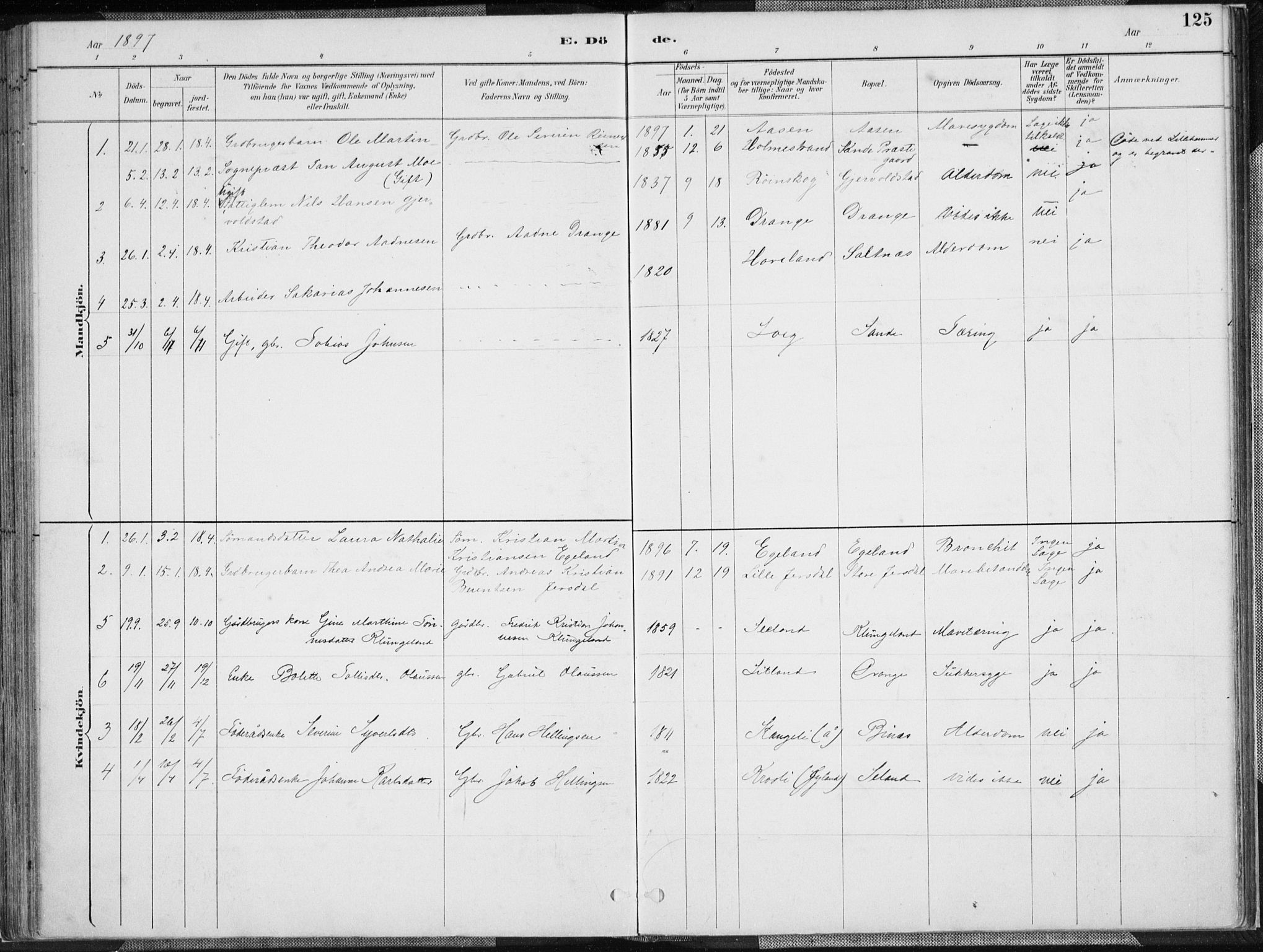 Herad sokneprestkontor, SAK/1111-0018/F/Fa/Faa/L0006: Parish register (official) no. A 6, 1887-1907, p. 125