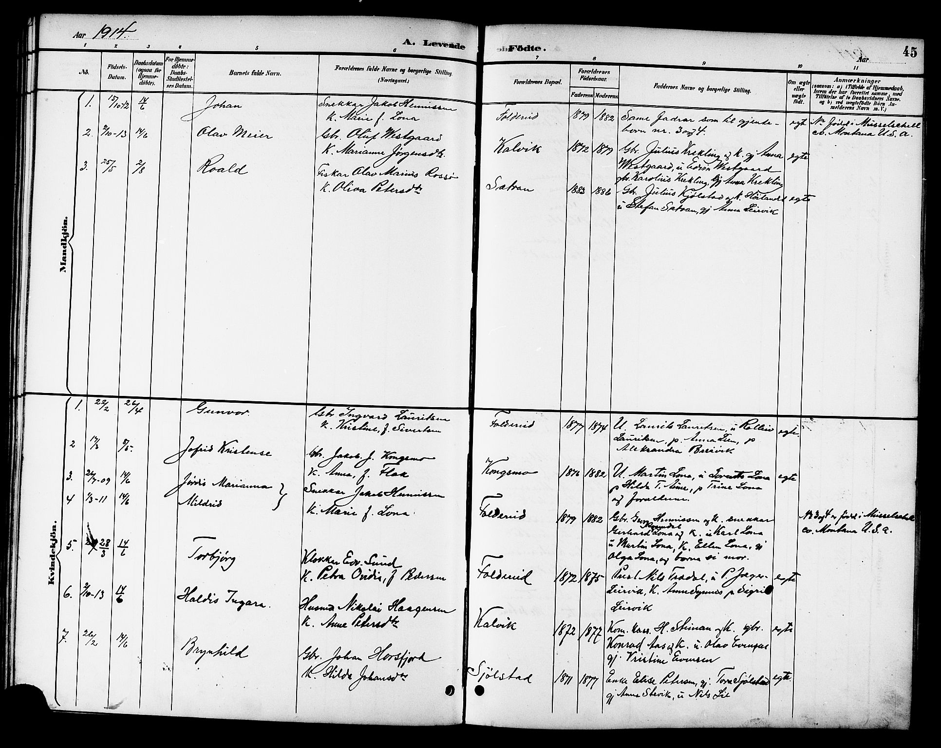Ministerialprotokoller, klokkerbøker og fødselsregistre - Nord-Trøndelag, SAT/A-1458/783/L0662: Parish register (copy) no. 783C02, 1894-1919, p. 45