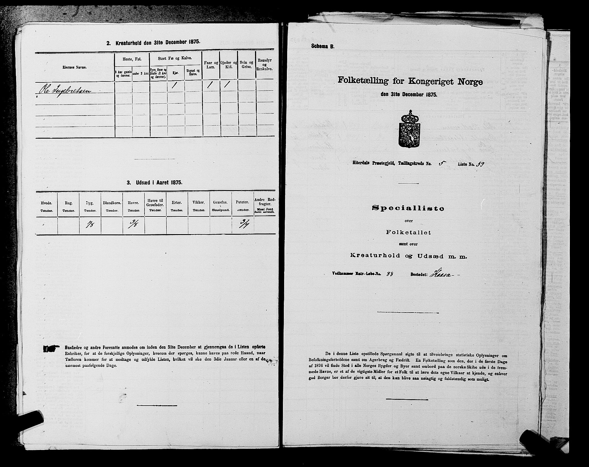 SAKO, 1875 census for 0823P Heddal, 1875, p. 818