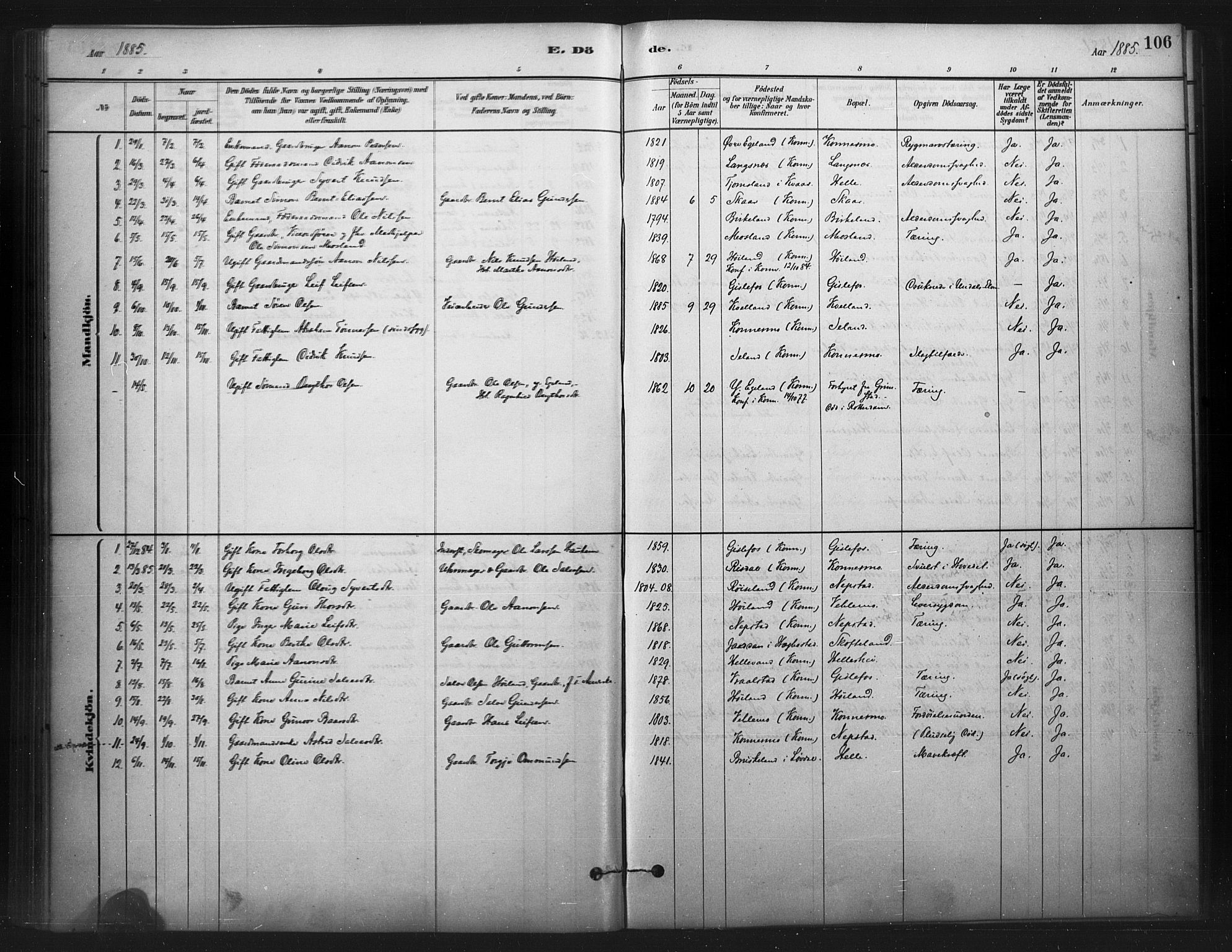 Nord-Audnedal sokneprestkontor, SAK/1111-0032/F/Fa/Faa/L0003: Parish register (official) no. A 3, 1882-1900, p. 106