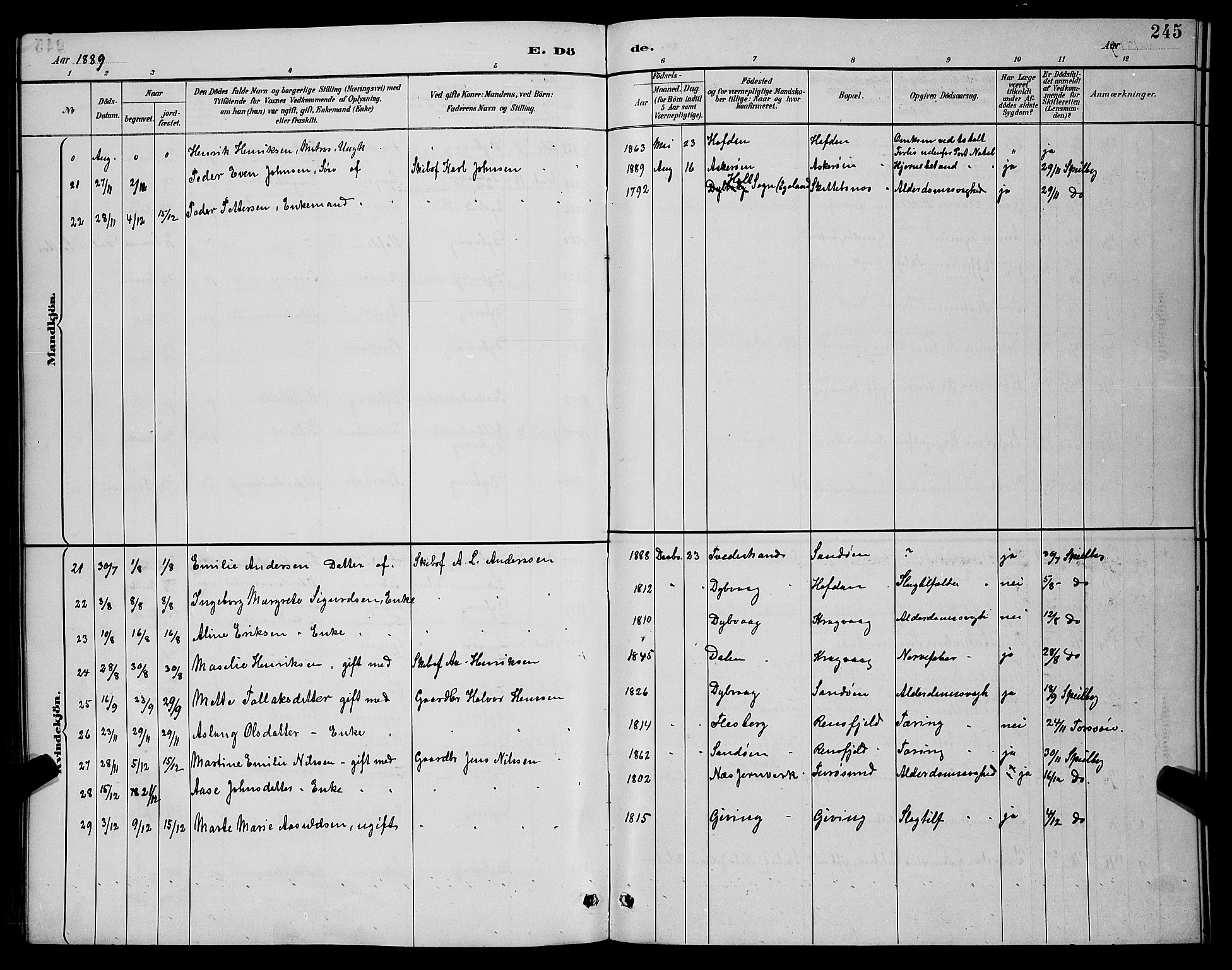 Dypvåg sokneprestkontor, AV/SAK-1111-0007/F/Fb/Fba/L0013: Parish register (copy) no. B 13, 1887-1900, p. 245