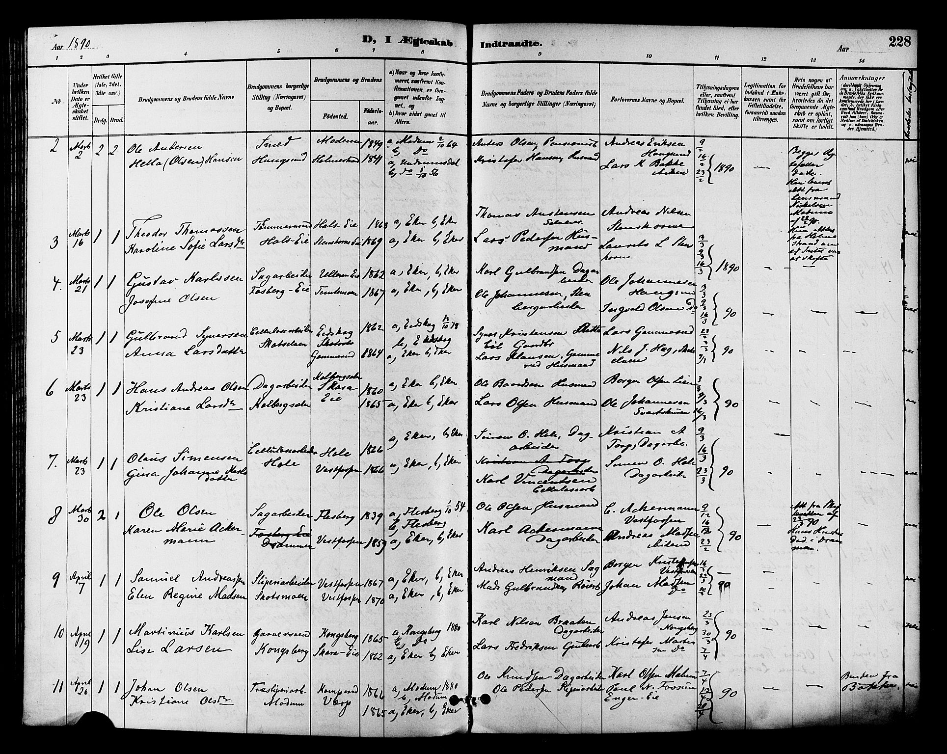 Eiker kirkebøker, SAKO/A-4/F/Fb/L0002: Parish register (official) no. II 2, 1889-1896, p. 228