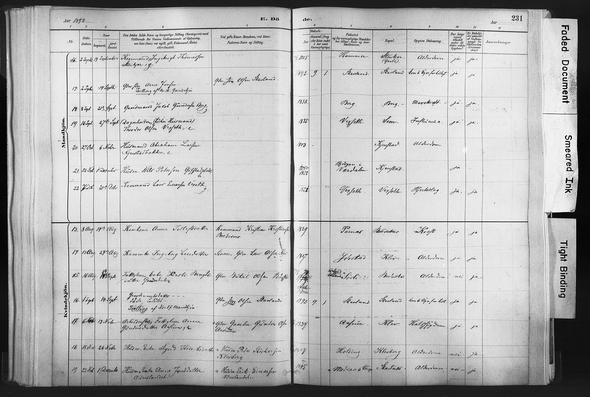 Ministerialprotokoller, klokkerbøker og fødselsregistre - Nord-Trøndelag, AV/SAT-A-1458/749/L0474: Parish register (official) no. 749A08, 1887-1903, p. 231