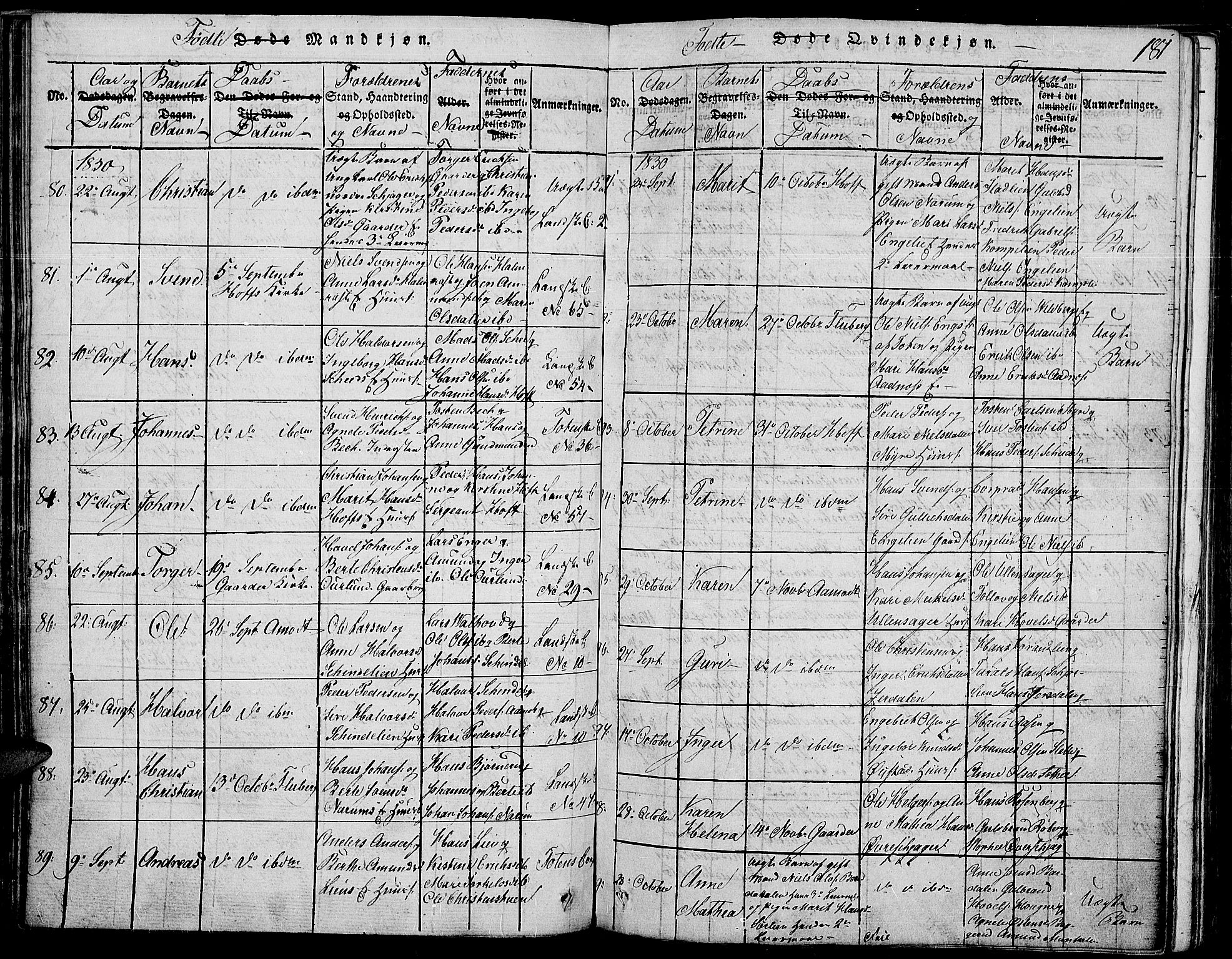 Land prestekontor, AV/SAH-PREST-120/H/Ha/Haa/L0007: Parish register (official) no. 7, 1814-1830, p. 181