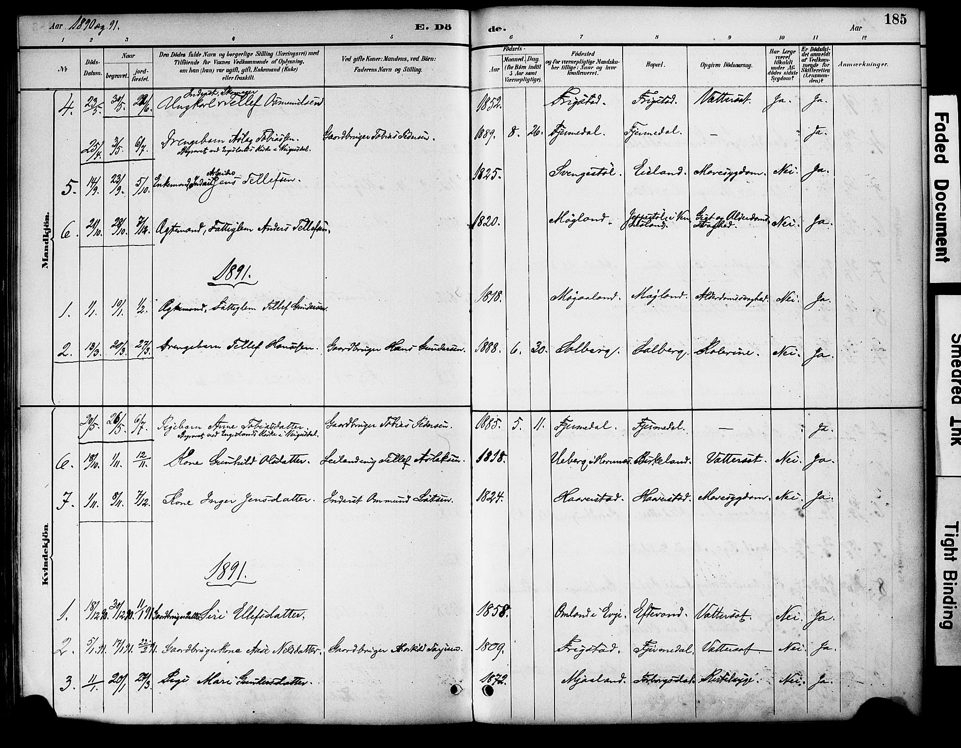 Evje sokneprestkontor, AV/SAK-1111-0008/F/Fa/Fac/L0003: Parish register (official) no. A 3, 1884-1909, p. 185