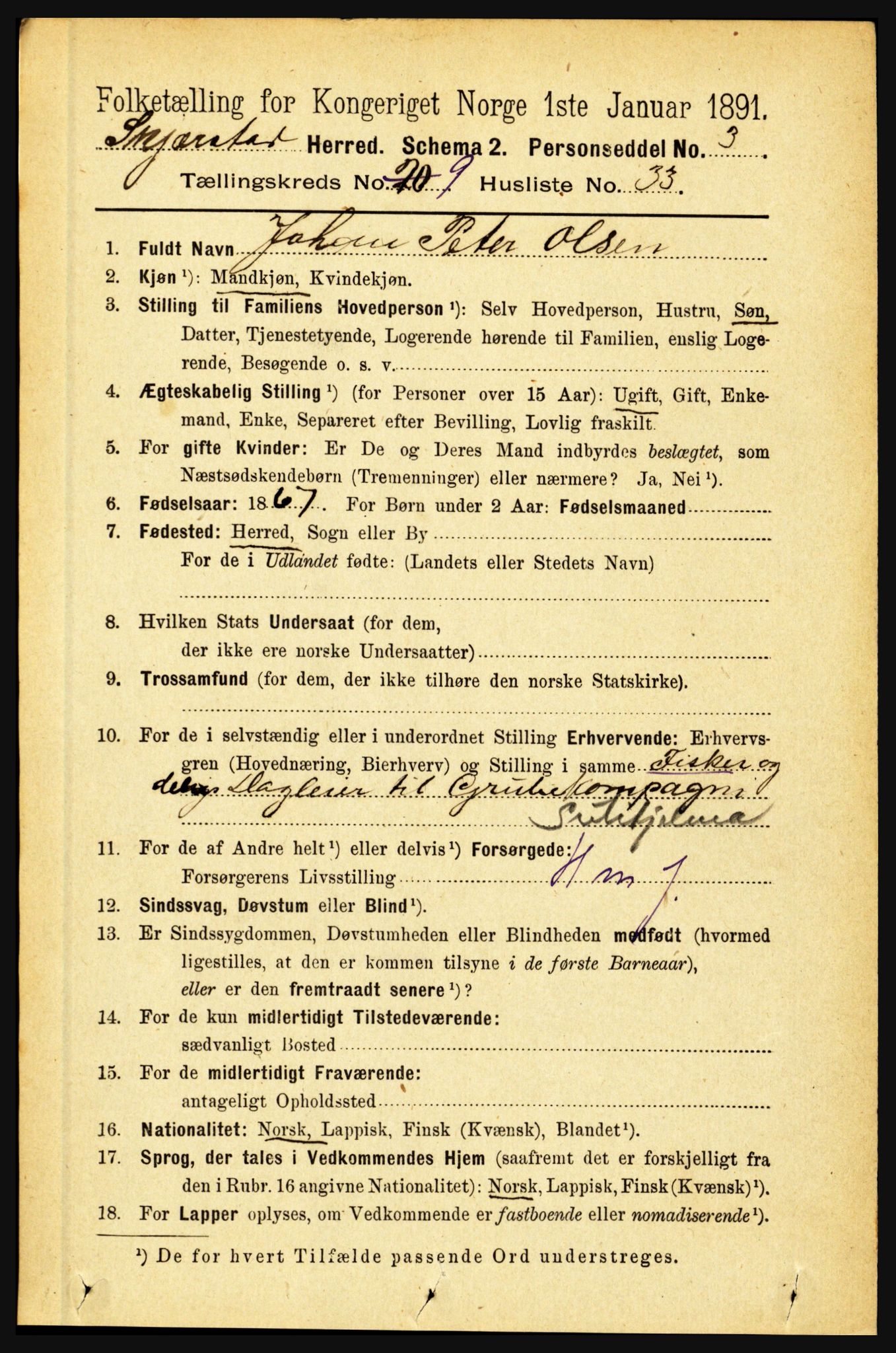 RA, 1891 census for 1842 Skjerstad, 1891, p. 3517