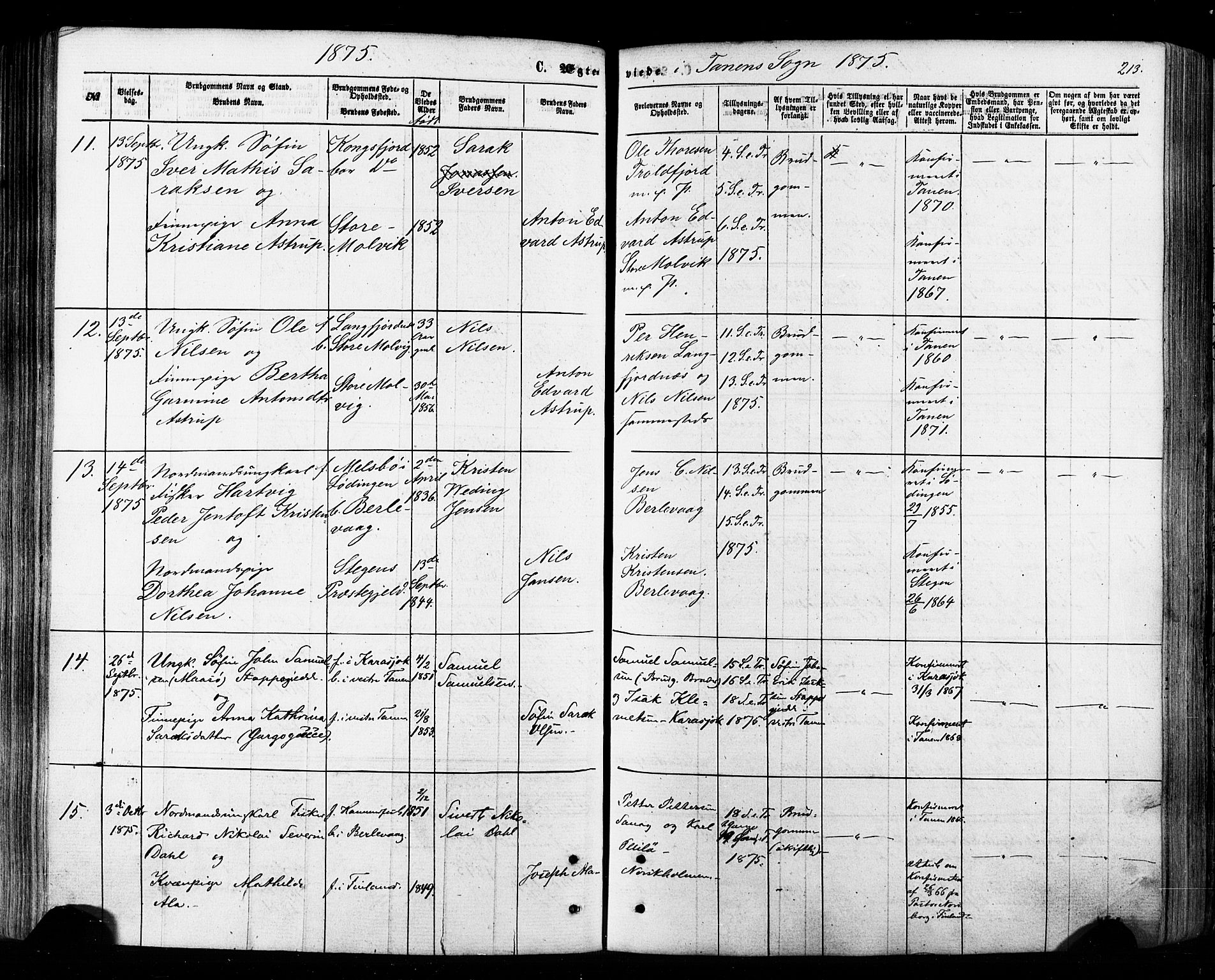 Tana sokneprestkontor, AV/SATØ-S-1334/H/Ha/L0002kirke: Parish register (official) no. 2 /1, 1861-1877, p. 213