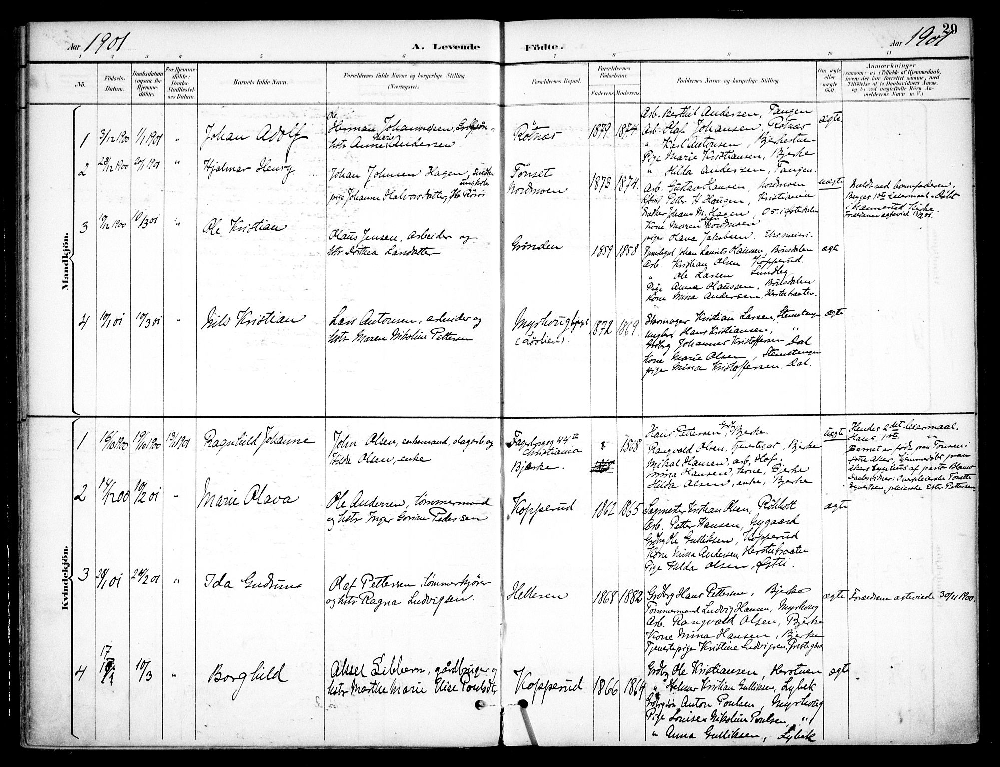 Nannestad prestekontor Kirkebøker, AV/SAO-A-10414a/F/Fc/L0002: Parish register (official) no. III 2, 1893-1907, p. 29