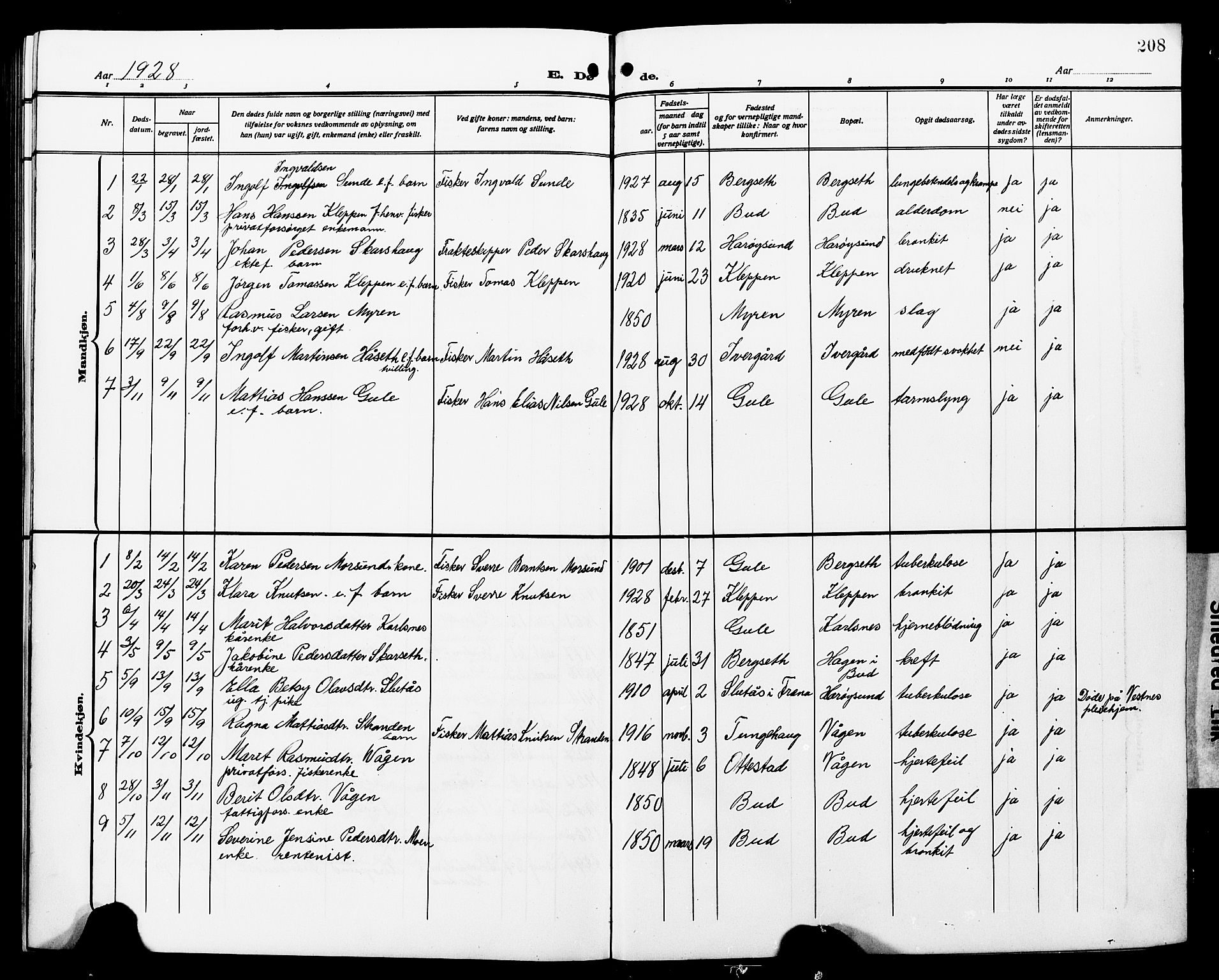 Ministerialprotokoller, klokkerbøker og fødselsregistre - Møre og Romsdal, AV/SAT-A-1454/566/L0774: Parish register (copy) no. 566C03, 1910-1929, p. 208