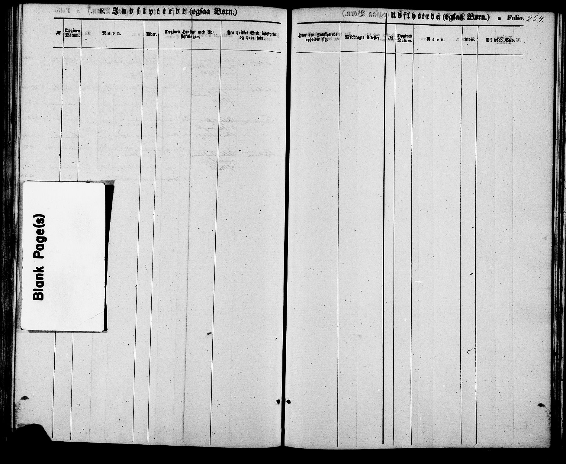 Birkenes sokneprestkontor, AV/SAK-1111-0004/F/Fa/L0004: Parish register (official) no. A 4, 1867-1886, p. 254