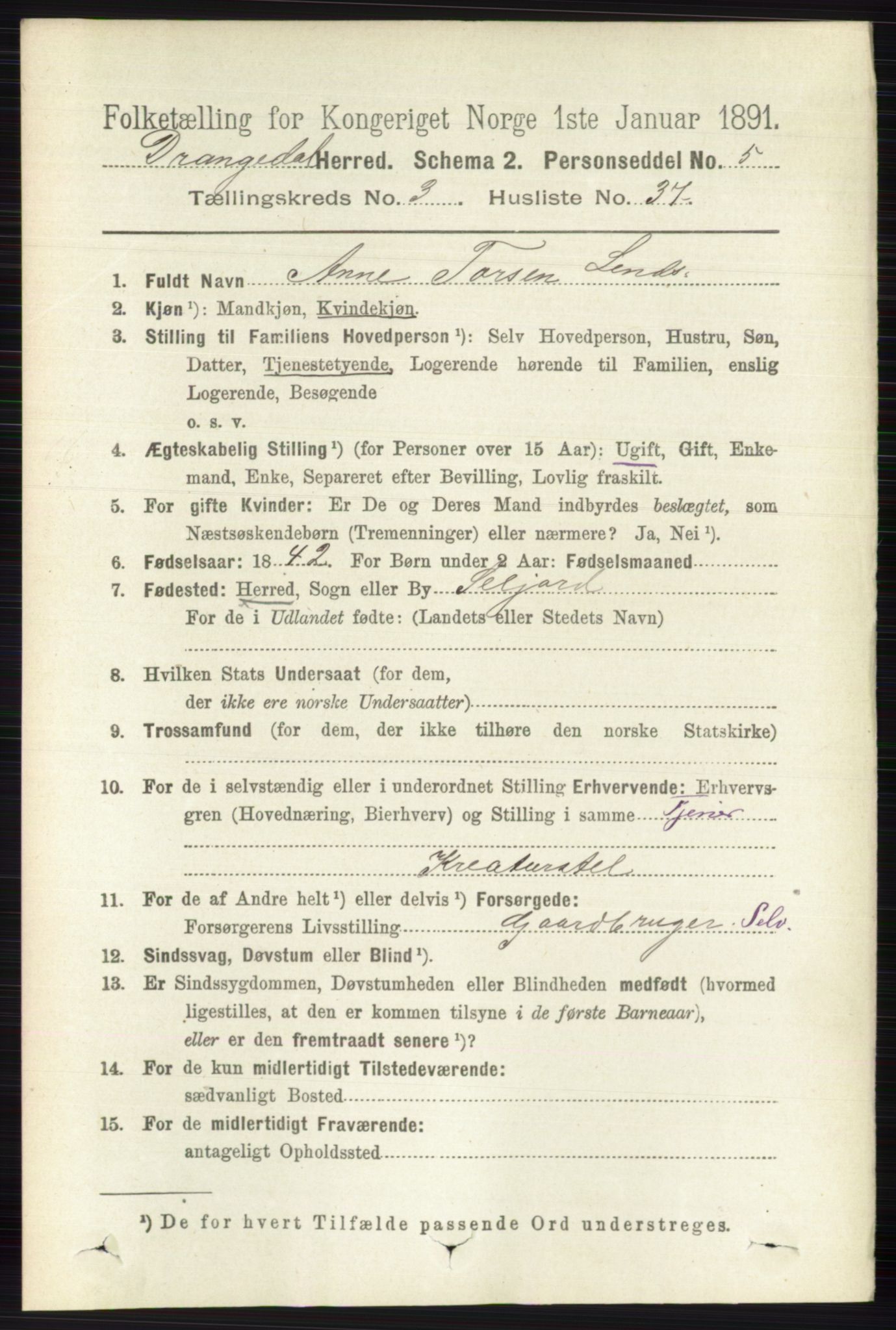 RA, 1891 census for 0817 Drangedal, 1891, p. 1099