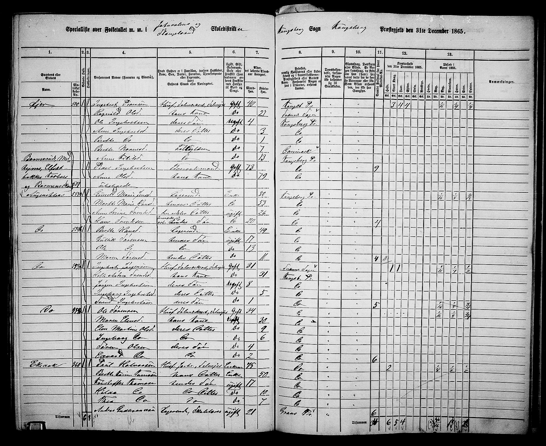 RA, 1865 census for Kongsberg/Kongsberg, 1865, p. 6