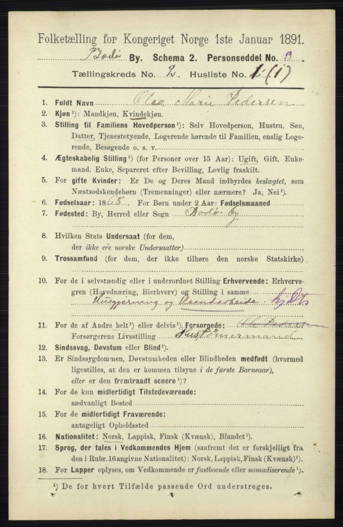 RA, 1891 census for 1804 Bodø, 1891, p. 991