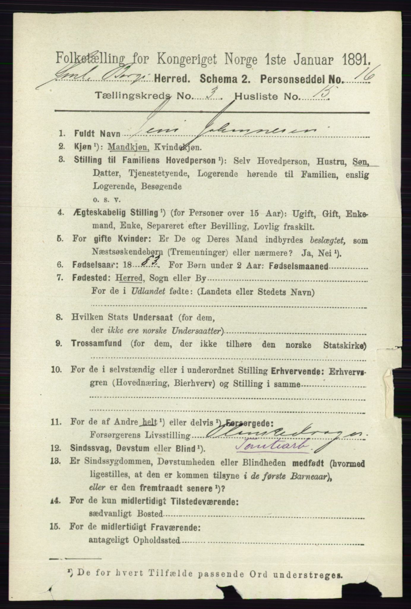 RA, 1891 census for 0113 Borge, 1891, p. 1553