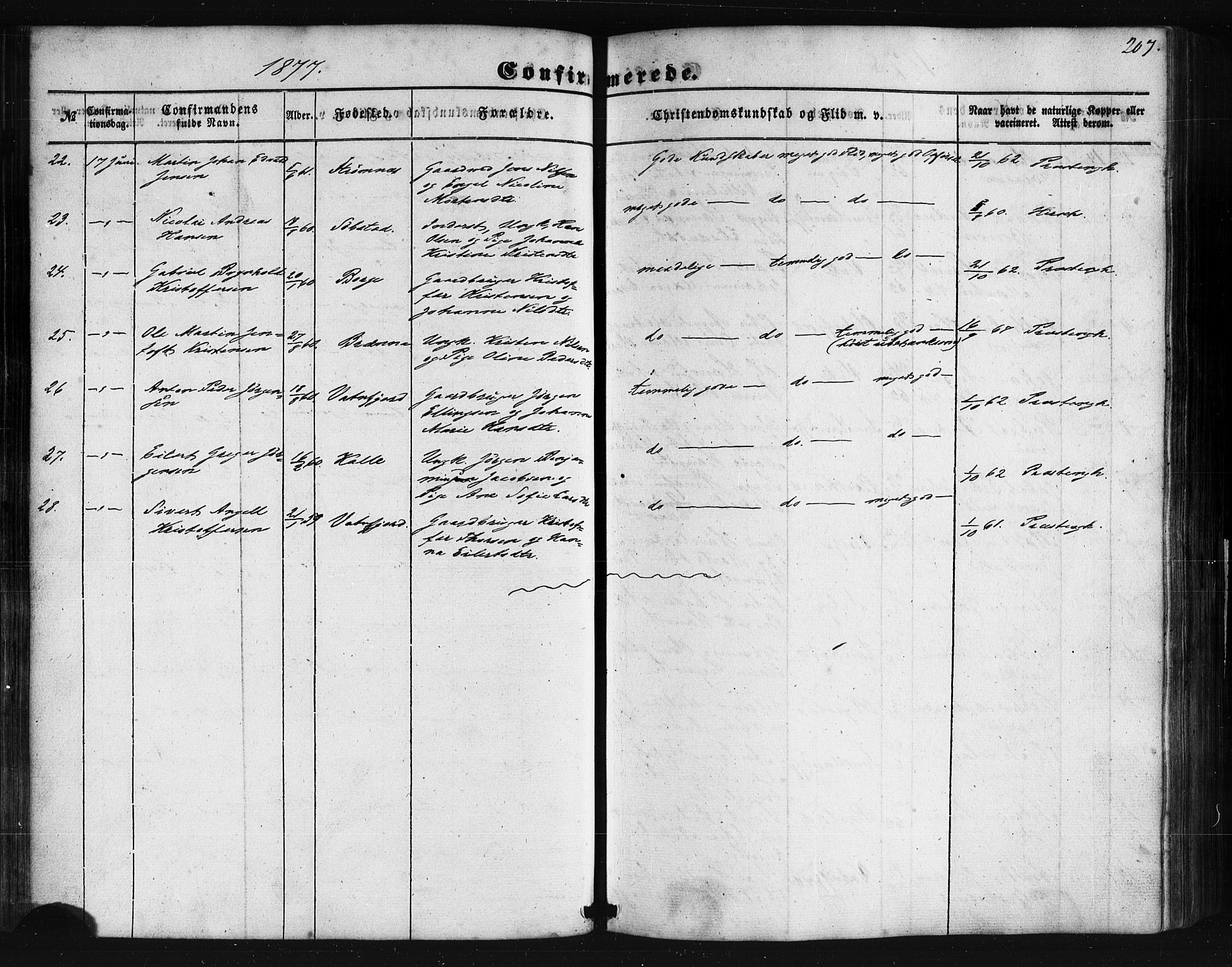 Ministerialprotokoller, klokkerbøker og fødselsregistre - Nordland, AV/SAT-A-1459/876/L1095: Parish register (official) no. 876A01, 1863-1885, p. 207