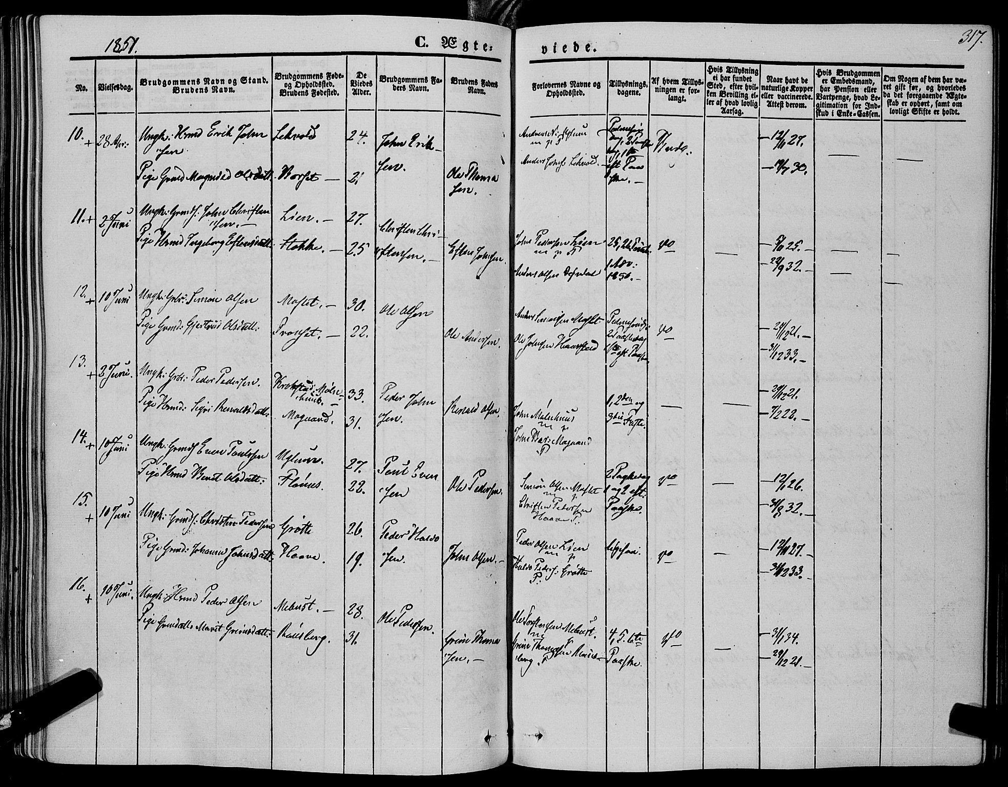 Ministerialprotokoller, klokkerbøker og fødselsregistre - Sør-Trøndelag, SAT/A-1456/695/L1145: Parish register (official) no. 695A06 /1, 1843-1859, p. 317