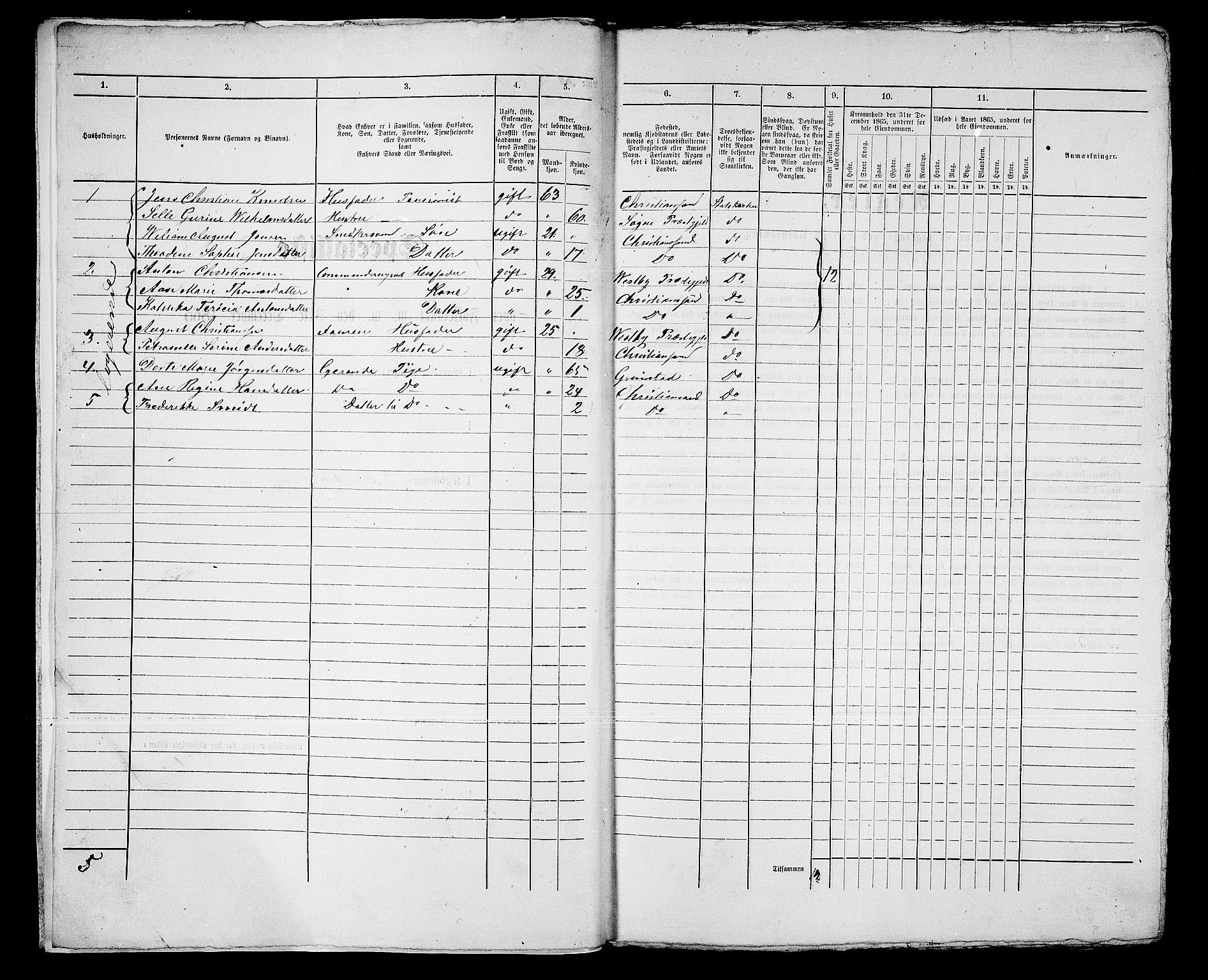 RA, 1865 census for Kristiansand, 1865, p. 1027