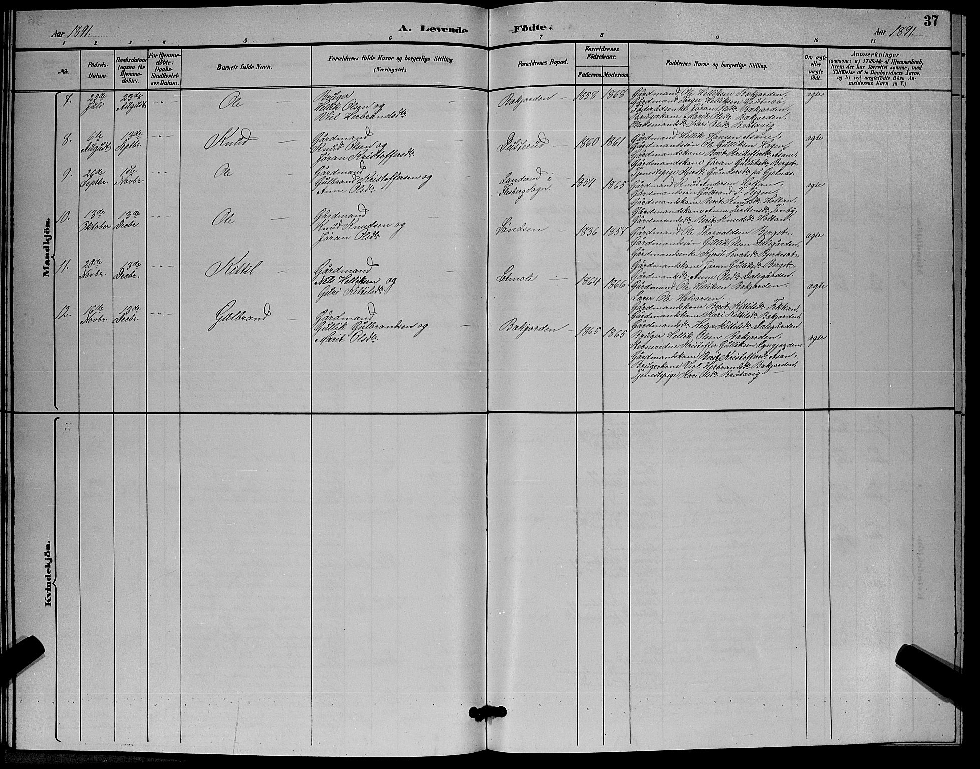 Flesberg kirkebøker, AV/SAKO-A-18/G/Ga/L0004: Parish register (copy) no. I 4 /3, 1890-1898, p. 37