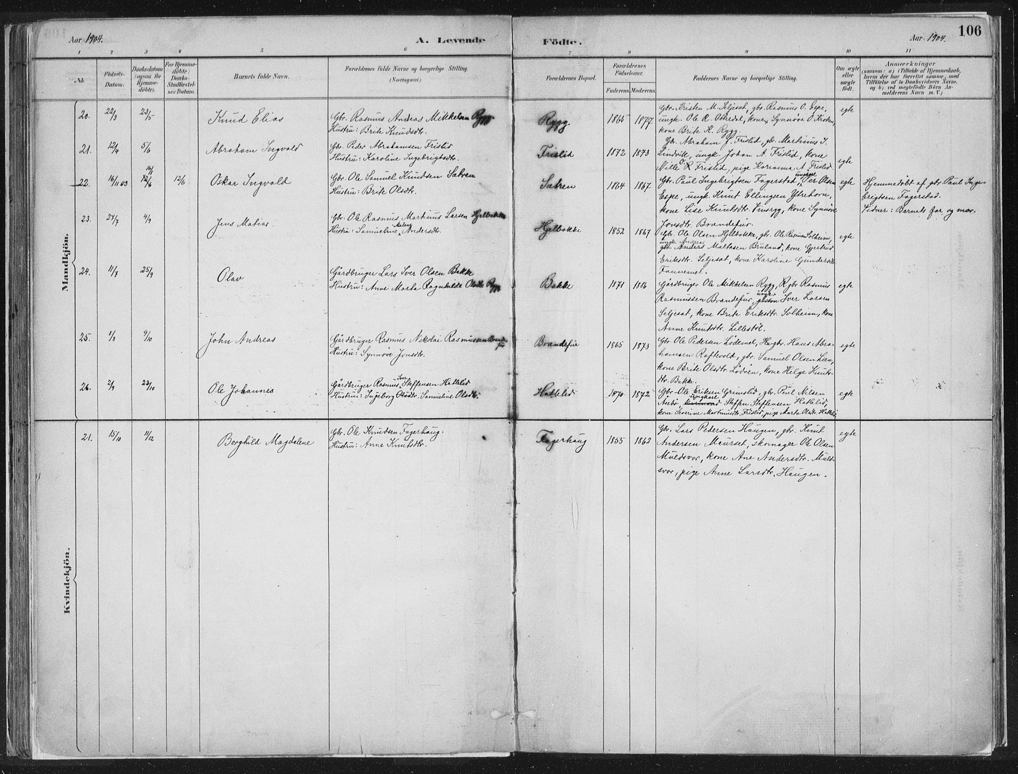 Hornindal sokneprestembete, AV/SAB-A-82401/H/Haa/Haaa/L0003/0001: Parish register (official) no. A 3A, 1887-1917, p. 106