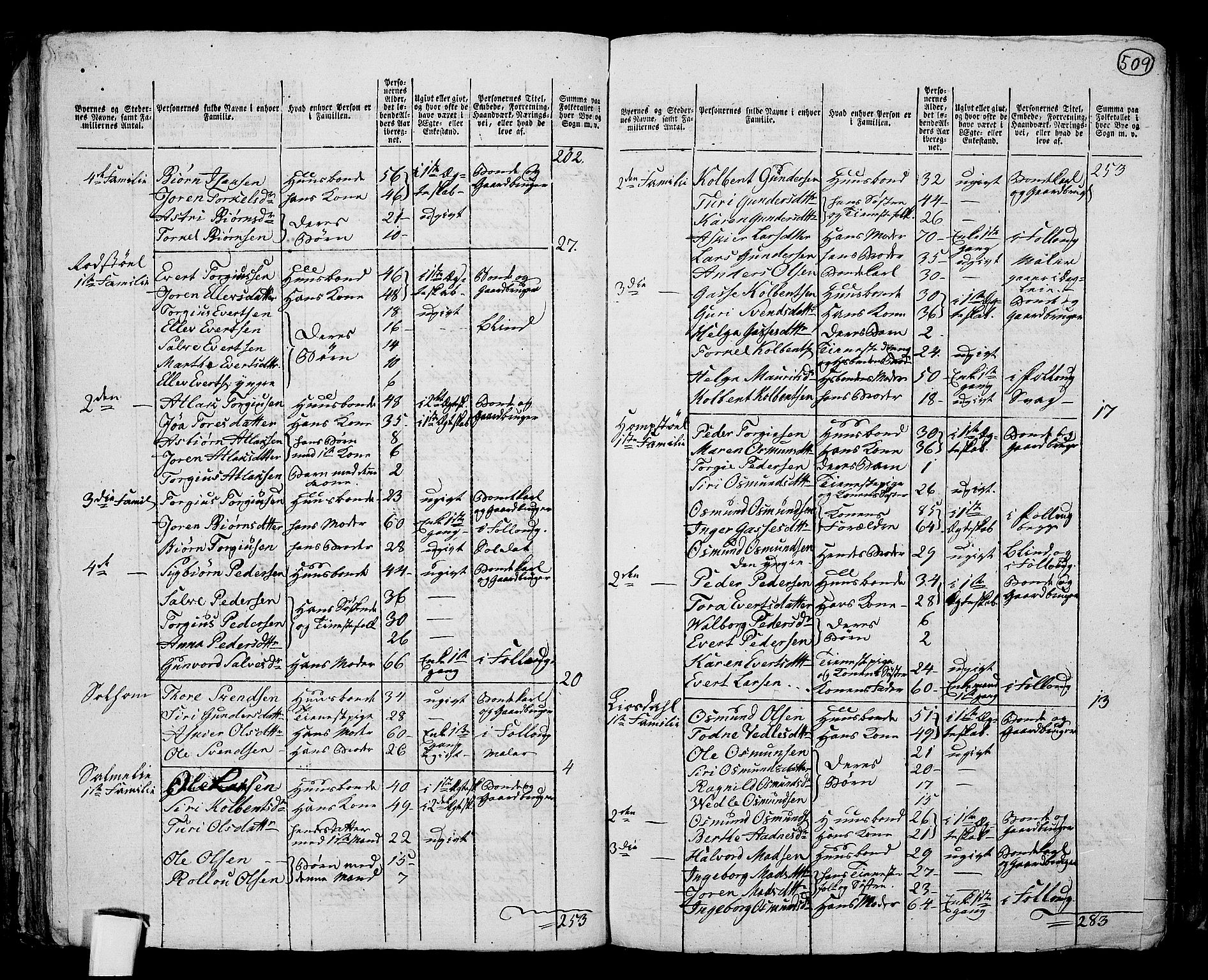 RA, 1801 census for 1045P Bakke, 1801, p. 508b-509a