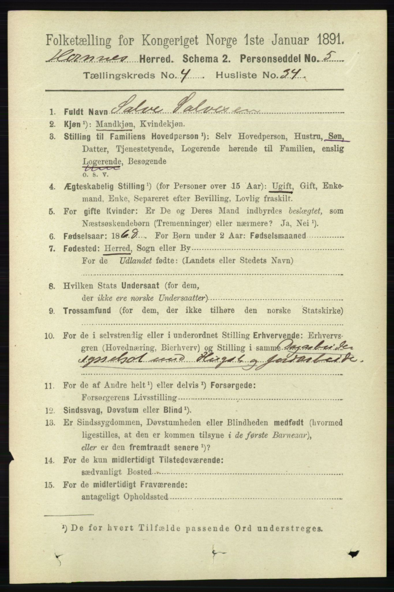 RA, 1891 census for 0936 Hornnes, 1891, p. 1318