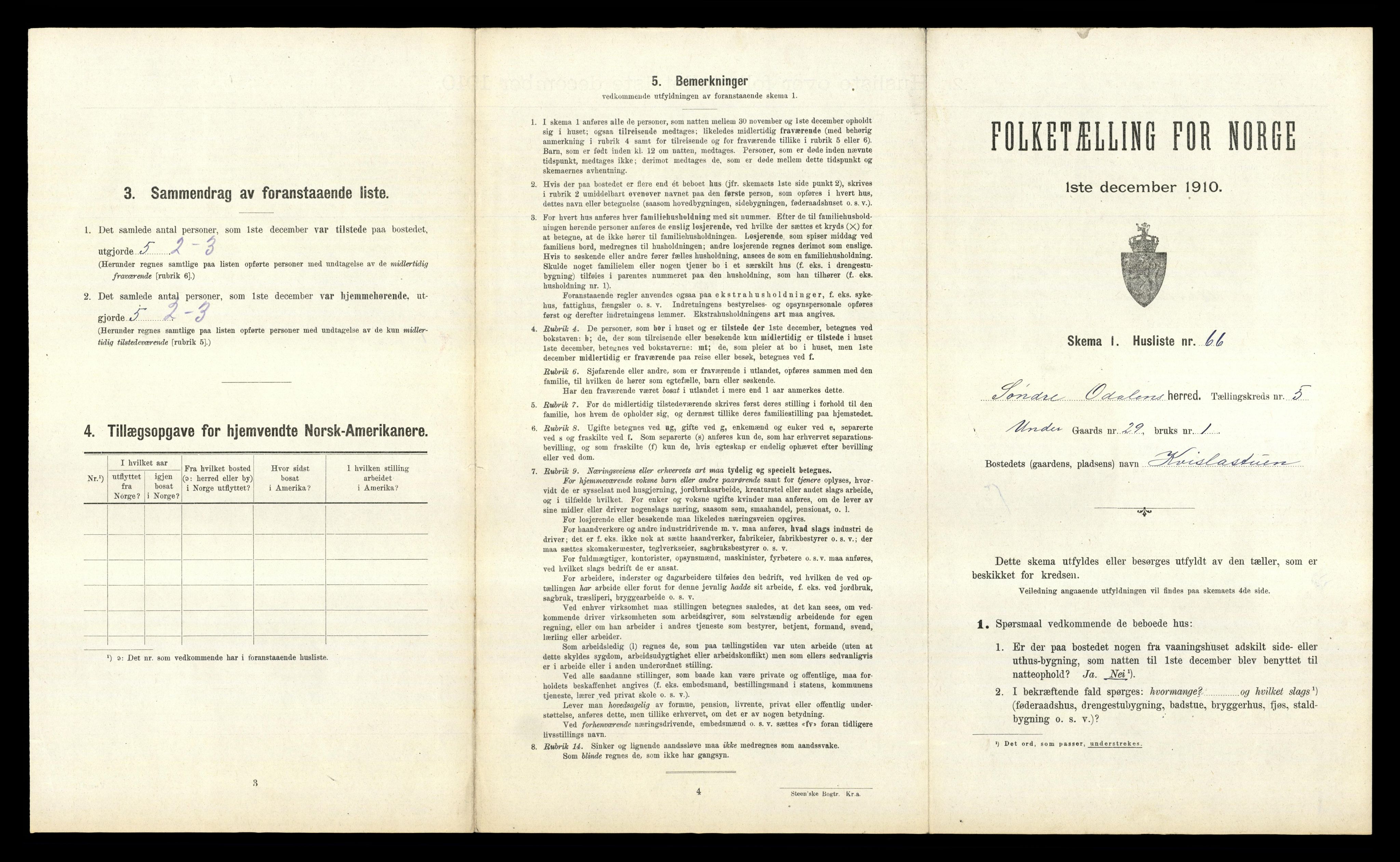 RA, 1910 census for Sør-Odal, 1910, p. 918