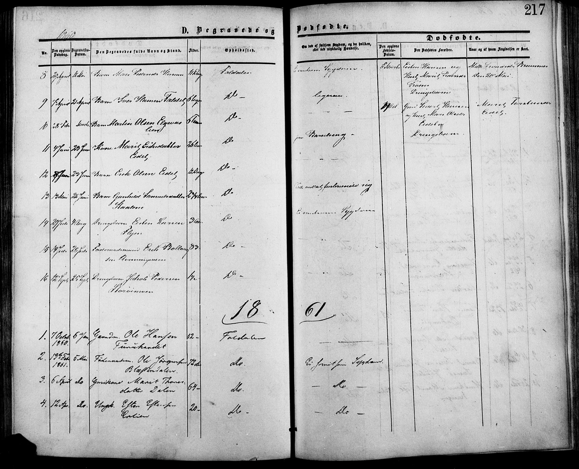Lesja prestekontor, SAH/PREST-068/H/Ha/Haa/L0007: Parish register (official) no. 7, 1854-1862, p. 217
