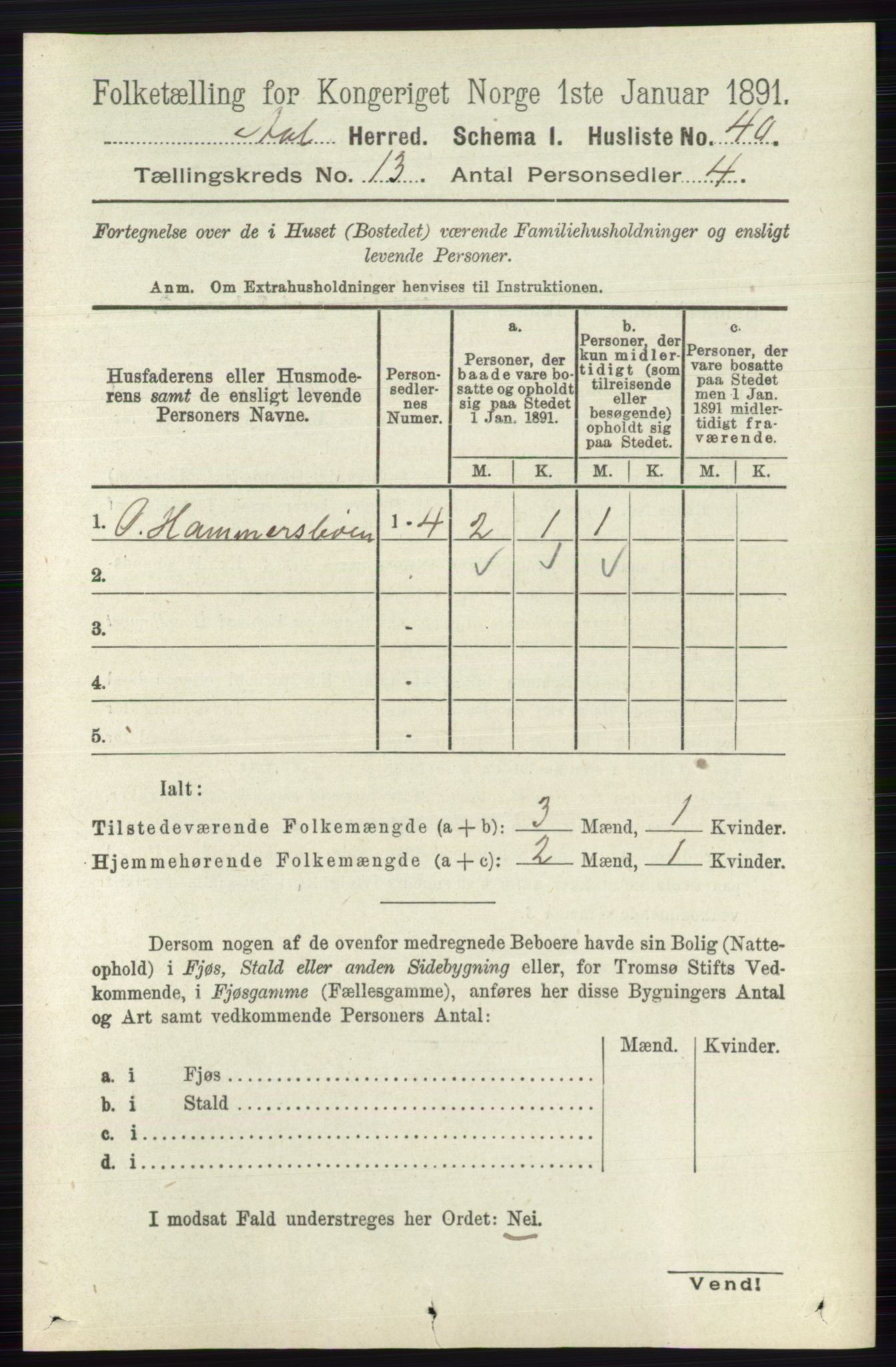 RA, 1891 census for 0619 Ål, 1891, p. 3253