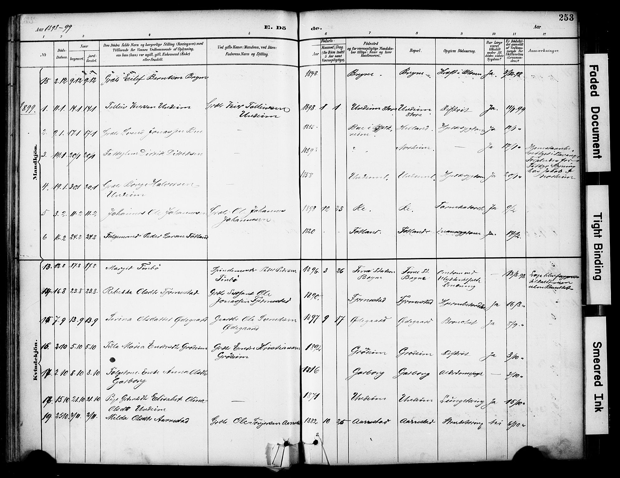 Lye sokneprestkontor, SAST/A-101794/001/30BA/L0011: Parish register (official) no. A 9, 1893-1903, p. 253