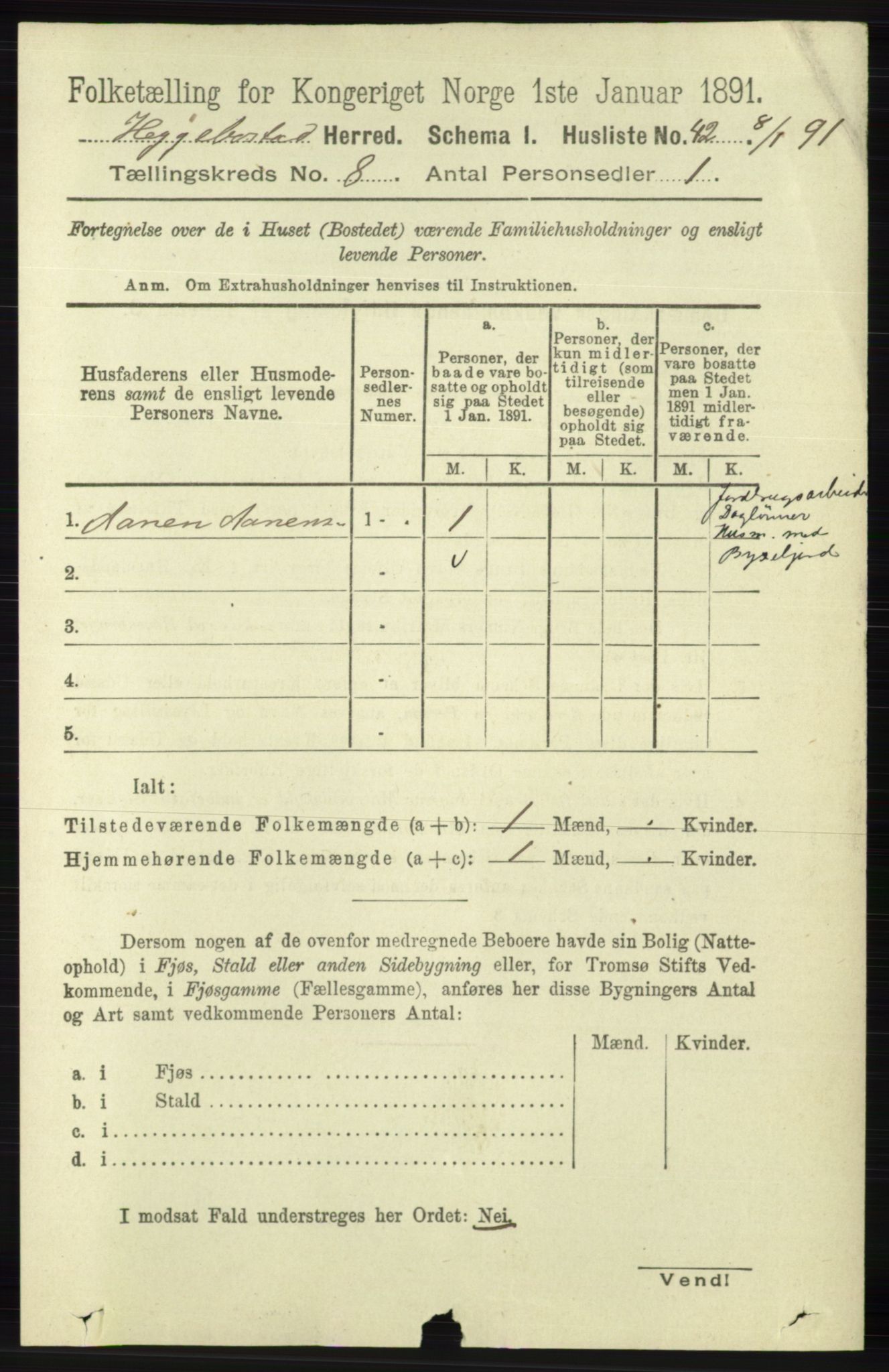 RA, 1891 census for 1034 Hægebostad, 1891, p. 2461