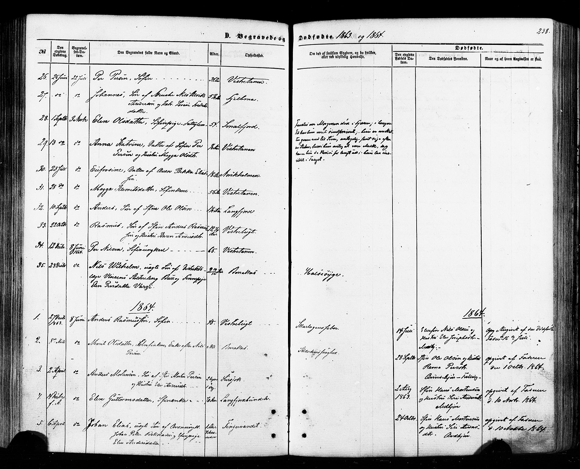 Tana sokneprestkontor, SATØ/S-1334/H/Ha/L0002kirke: Parish register (official) no. 2 /1, 1861-1877, p. 238