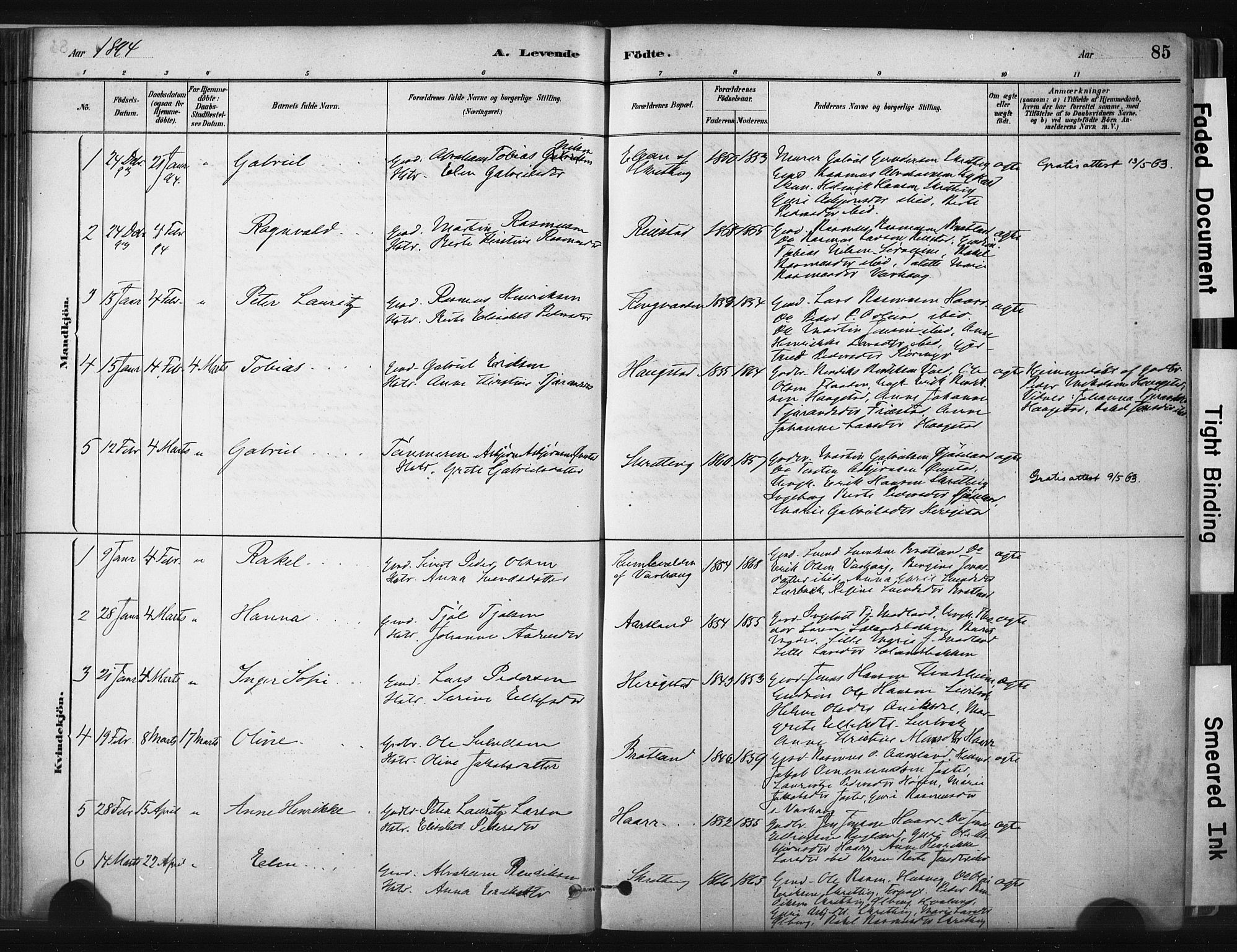 Hå sokneprestkontor, AV/SAST-A-101801/001/30BA/L0011: Parish register (official) no. A 10, 1879-1900, p. 85