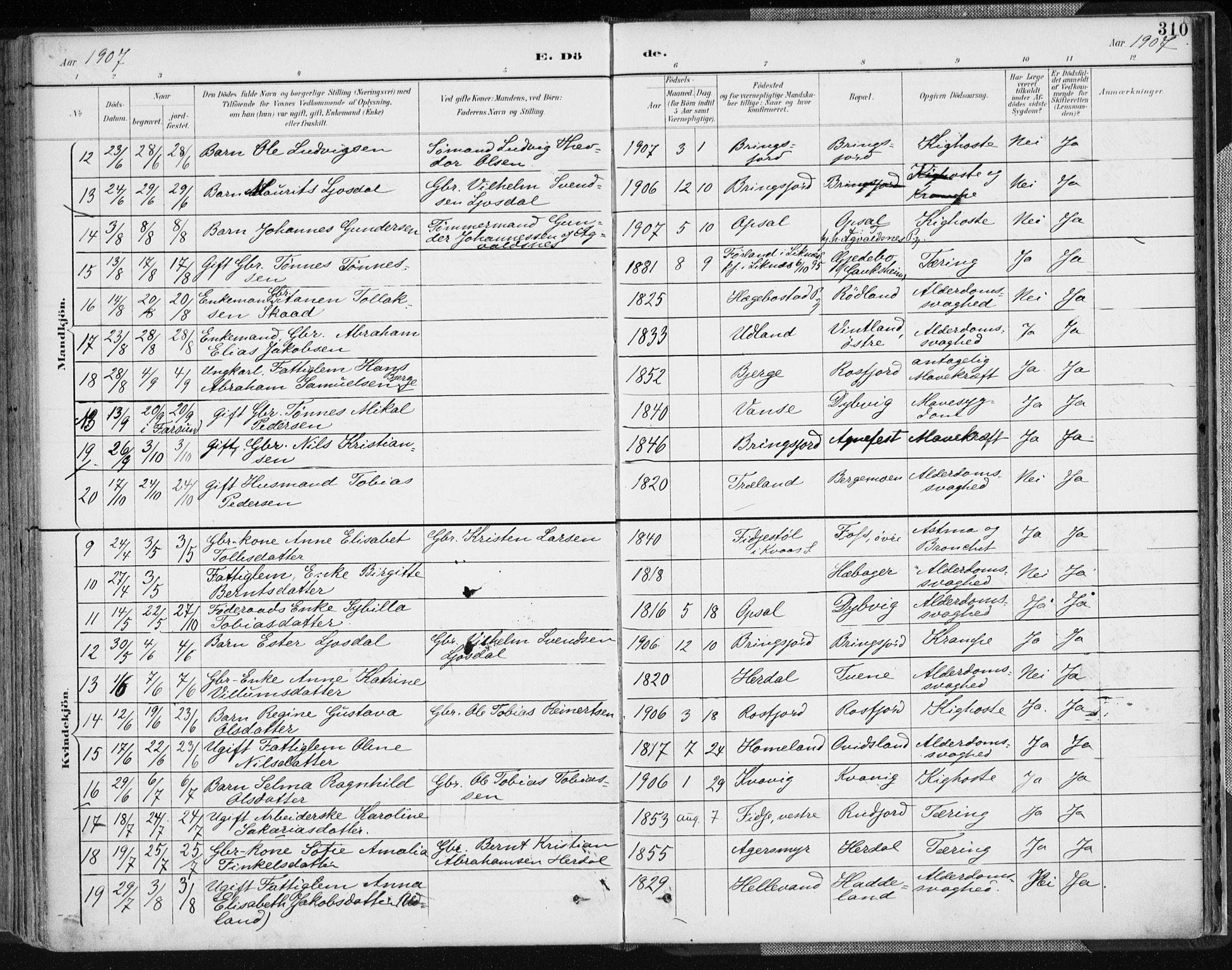 Lyngdal sokneprestkontor, SAK/1111-0029/F/Fa/Fac/L0012: Parish register (official) no. A 12, 1894-1918, p. 310