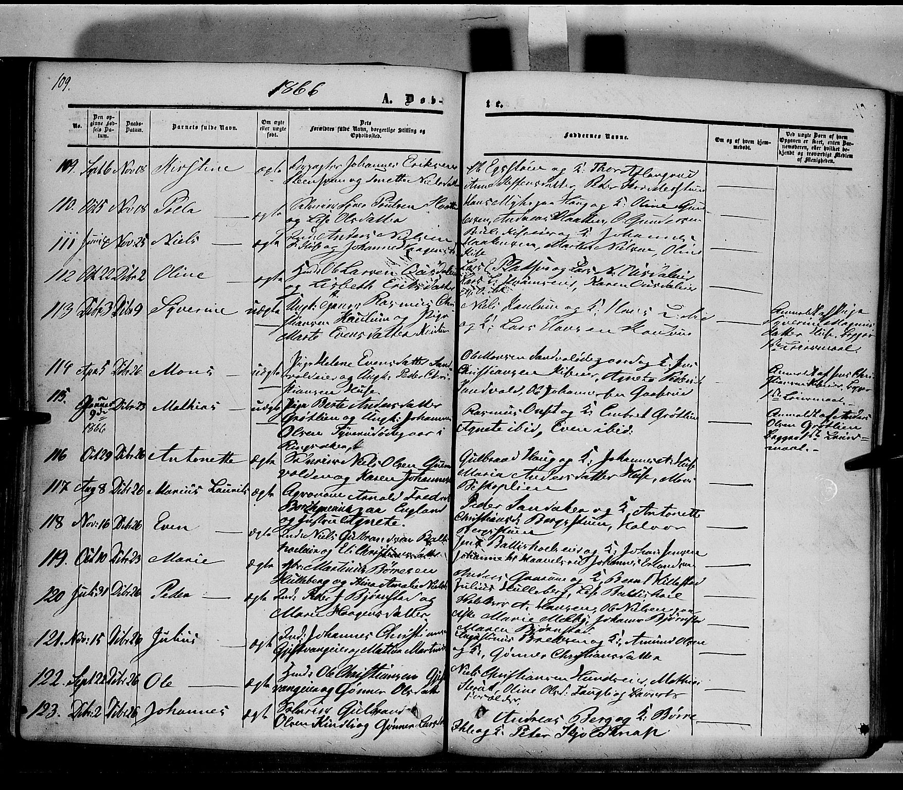 Nes prestekontor, Hedmark, SAH/PREST-020/K/Ka/L0004: Parish register (official) no. 4, 1852-1886, p. 109