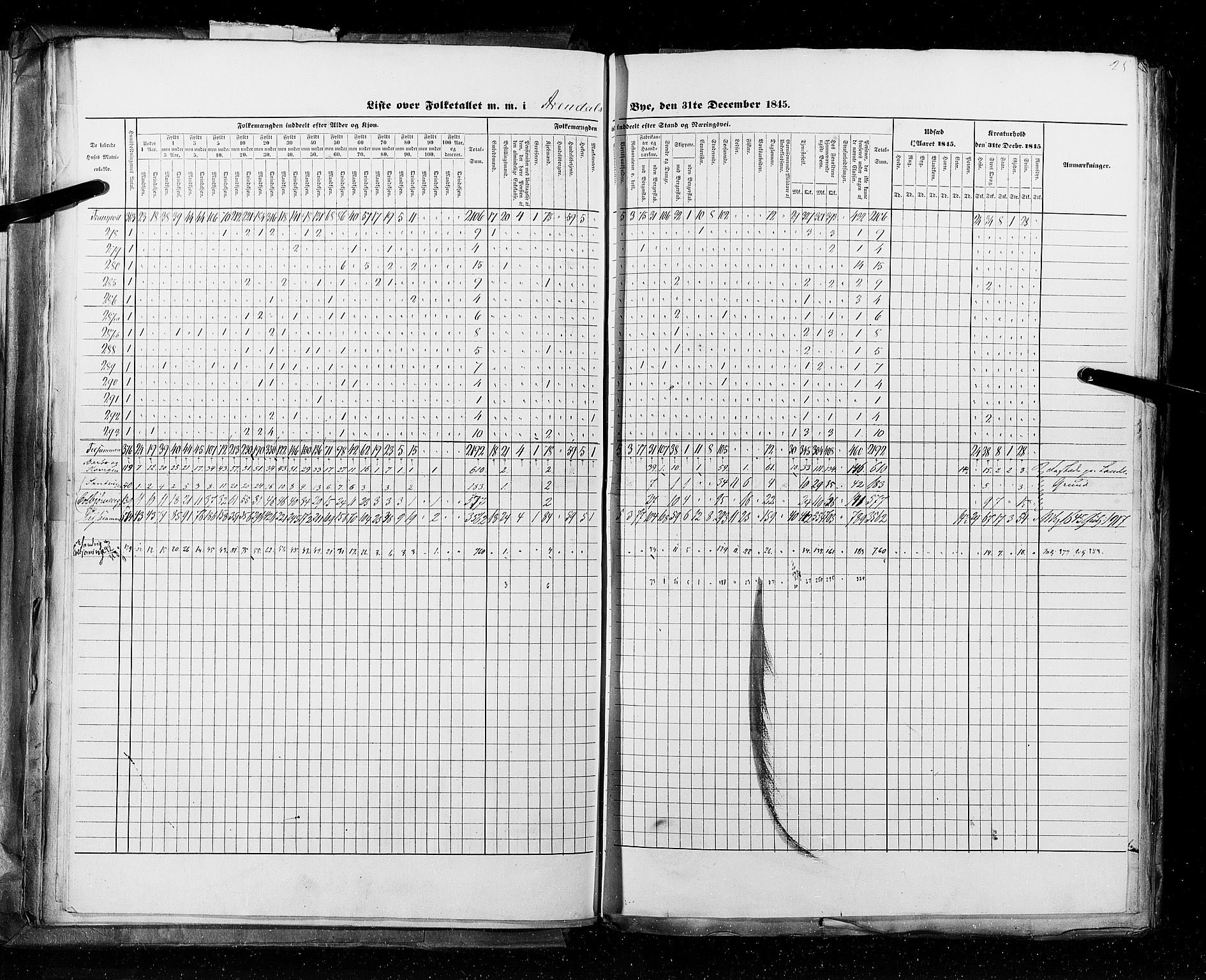 RA, Census 1845, vol. 11: Cities, 1845, p. 25