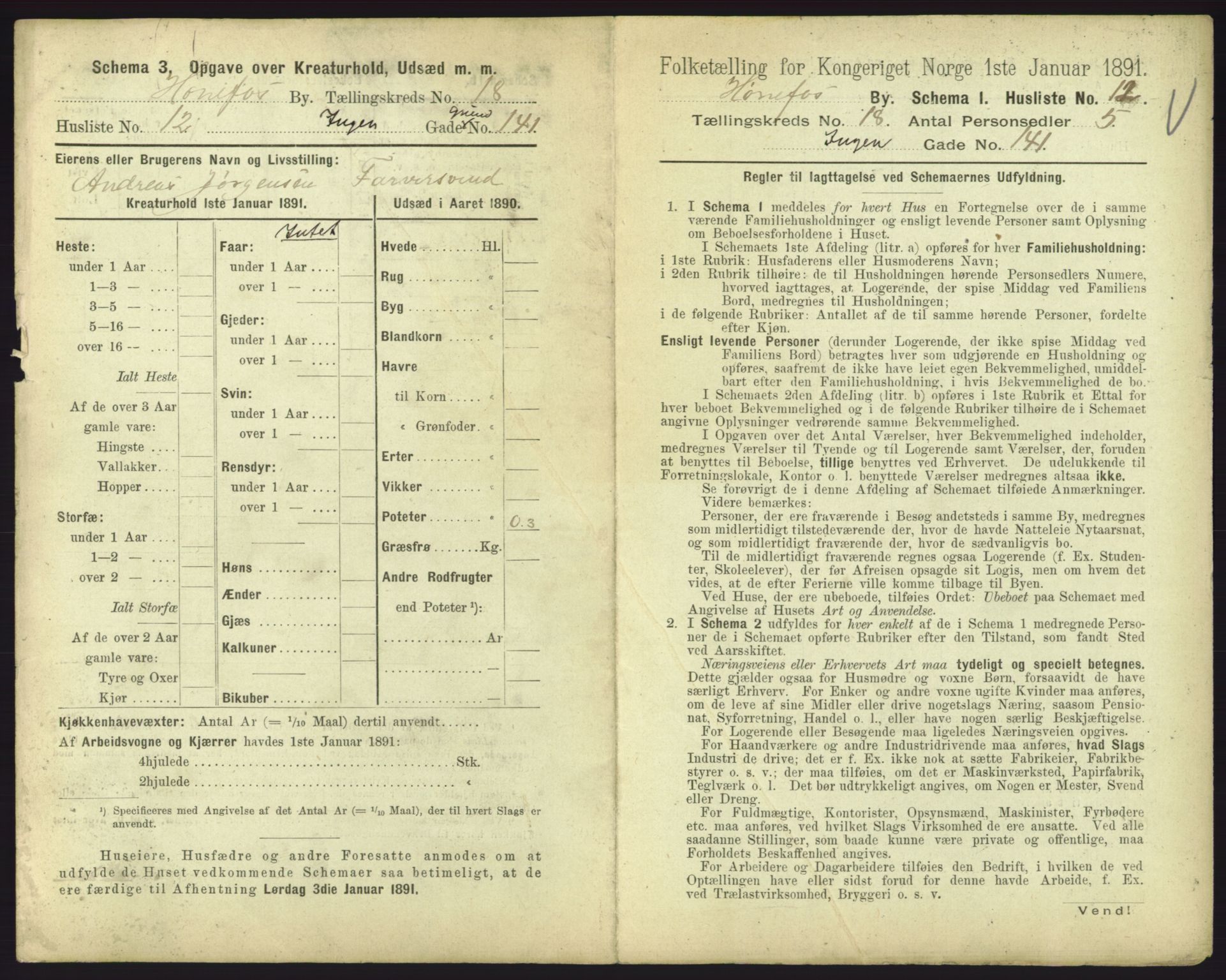 RA, 1891 census for 0601 Hønefoss, 1891, p. 405