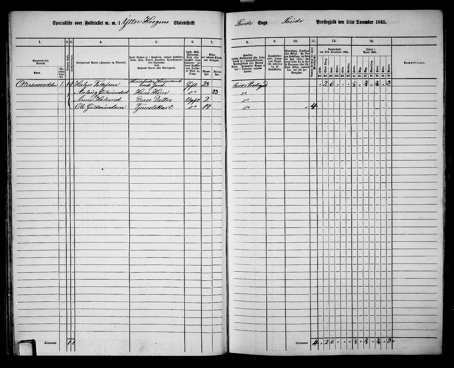 RA, 1865 census for Sauherad, 1865, p. 30