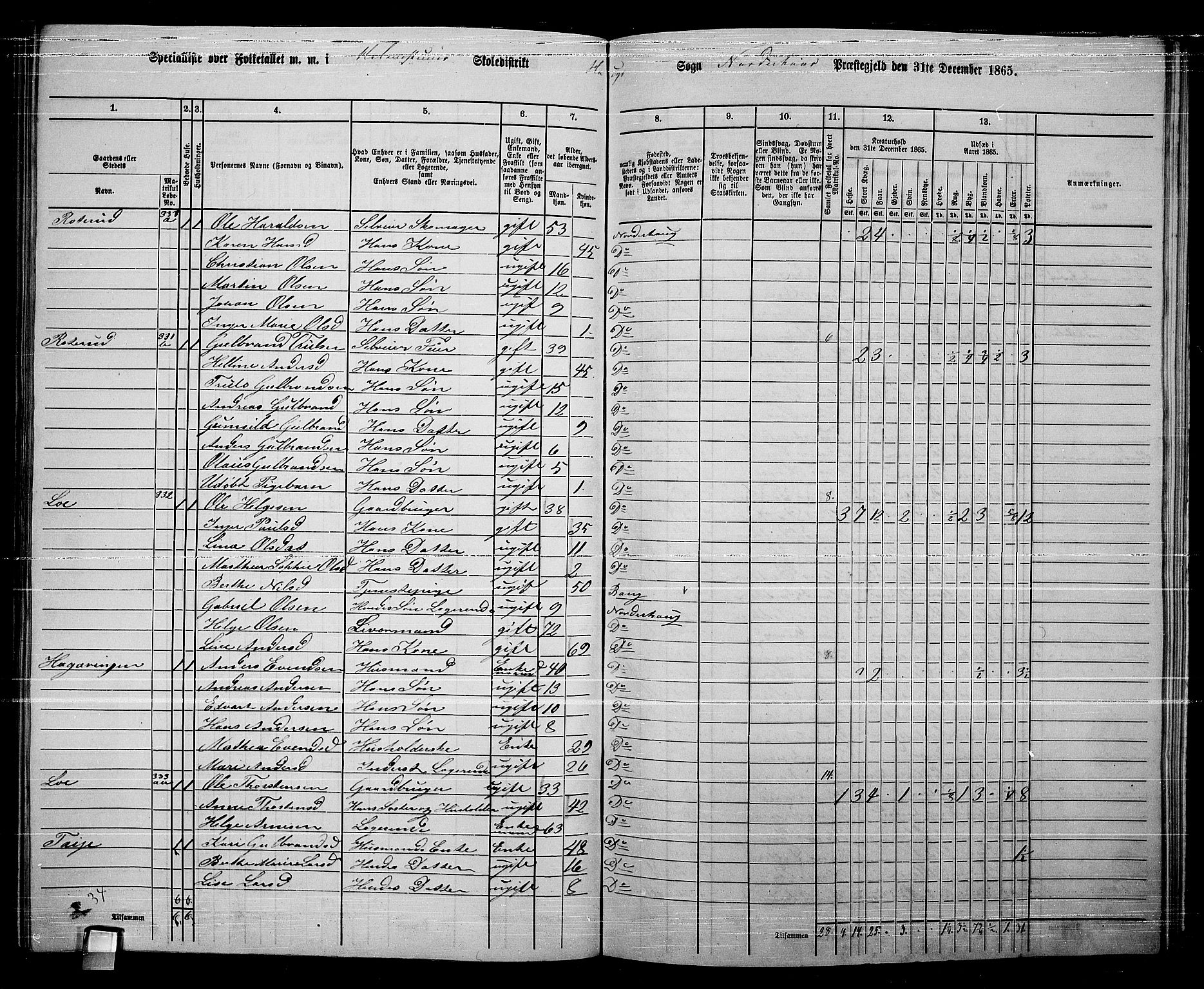 RA, 1865 census for Norderhov/Norderhov, Haug og Lunder, 1865, p. 238